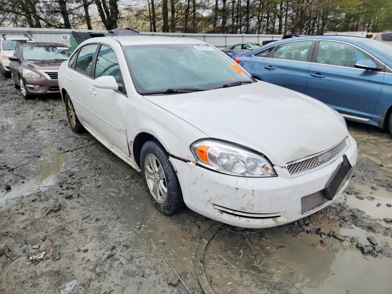 2015 Chevrolet Impala Limited Ls Белый vin: 2G1WA5E38F1117080