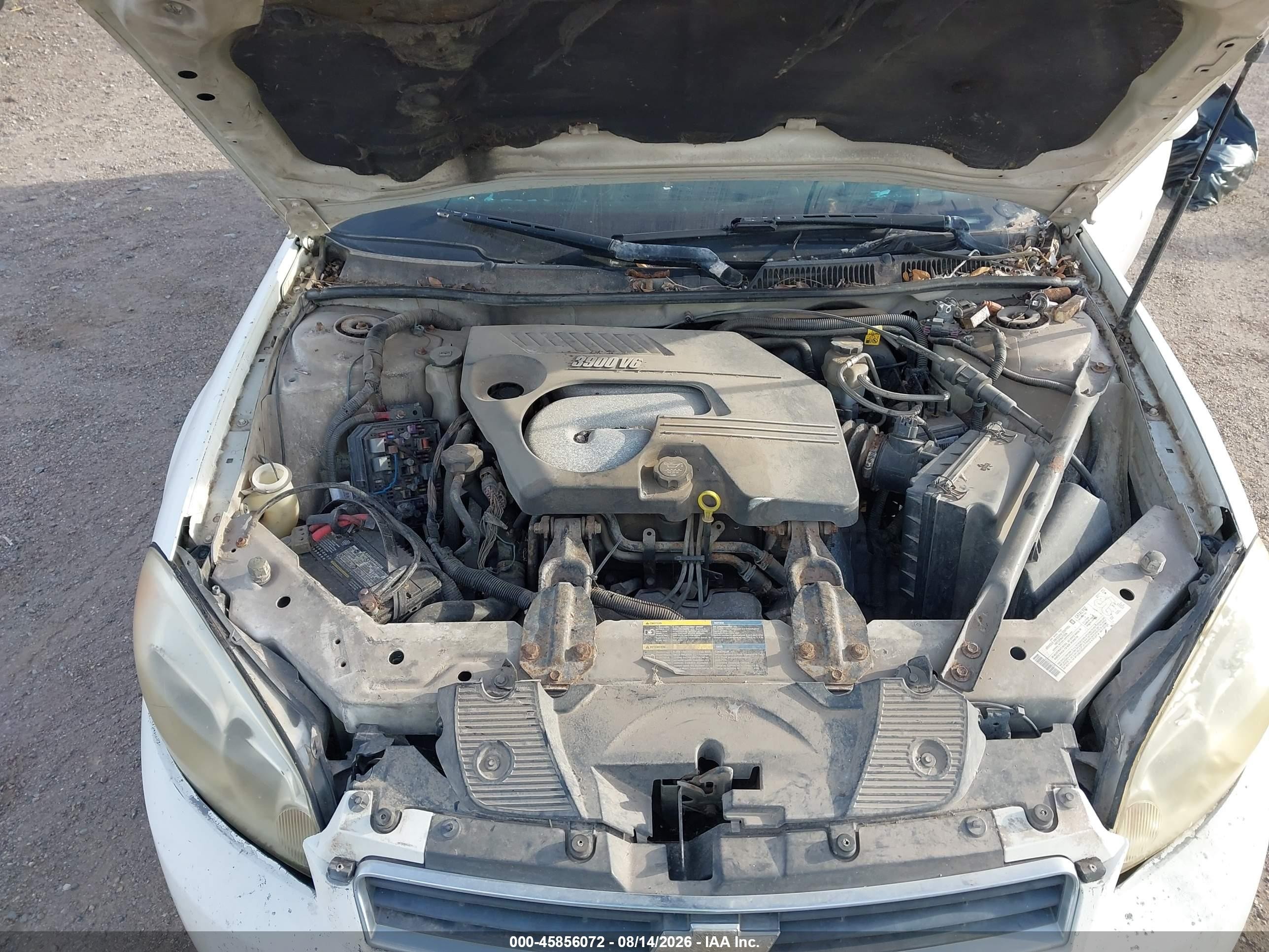 2006 Chevrolet Impala Lt Белый vin: 2G1WC581469136523