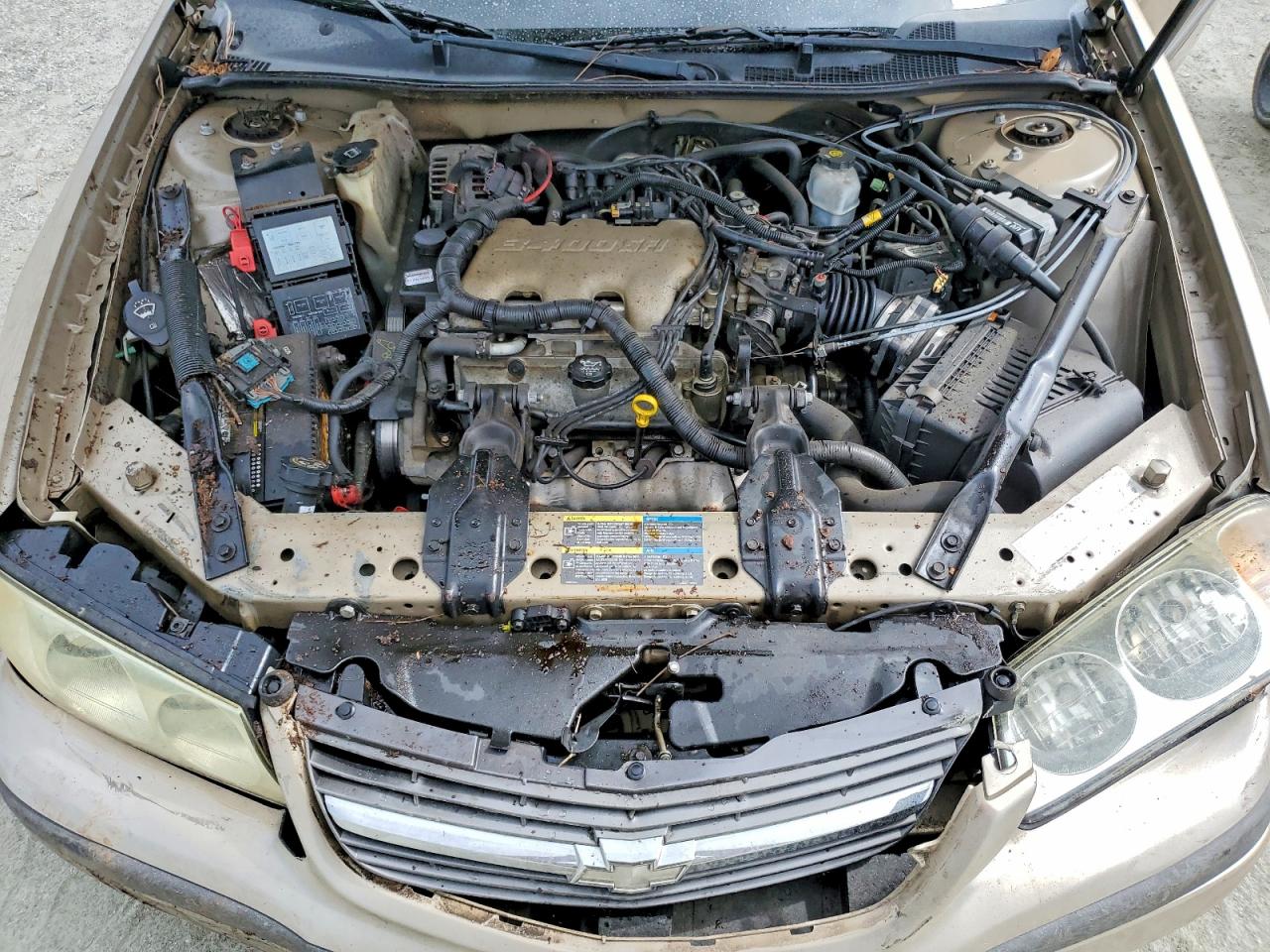 2005 Chevrolet Impala Gold vin: 2G1WF52E059230139