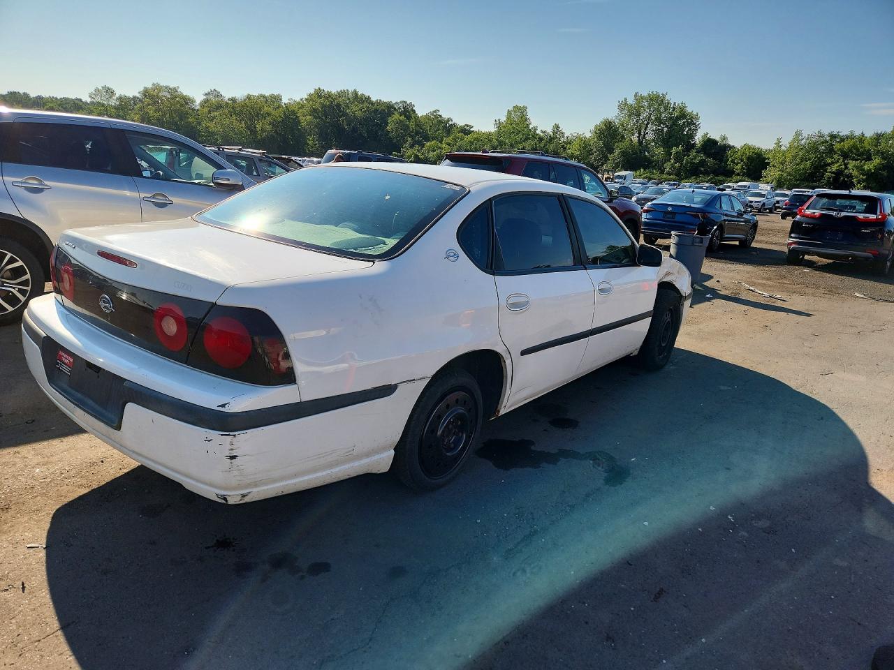 2004 Chevrolet Impala White vin: 2G1WF52E349263361
