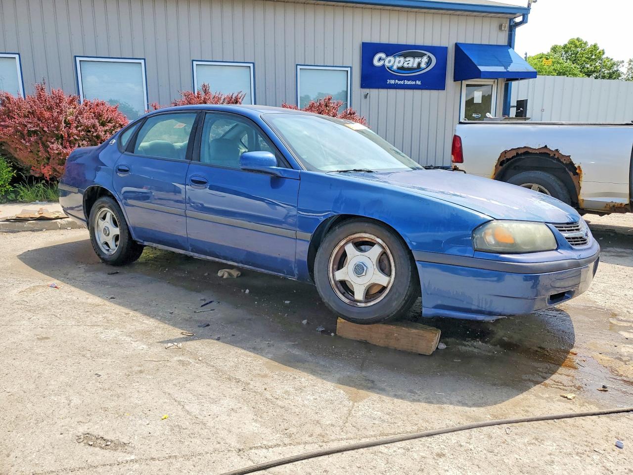2004 Chevrolet Impala Blue vin: 2G1WF52E449295798