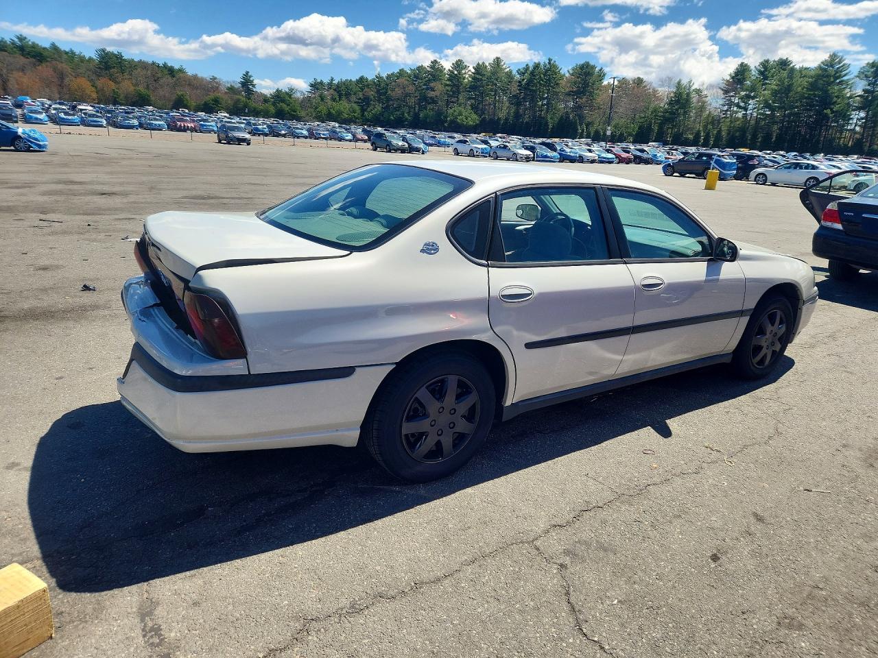 2004 Chevrolet Impala Белый vin: 2G1WF52E749101006