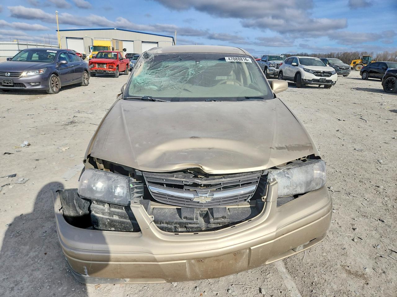 2005 Chevrolet Impala Ls Tan vin: 2G1WH52KX59211596