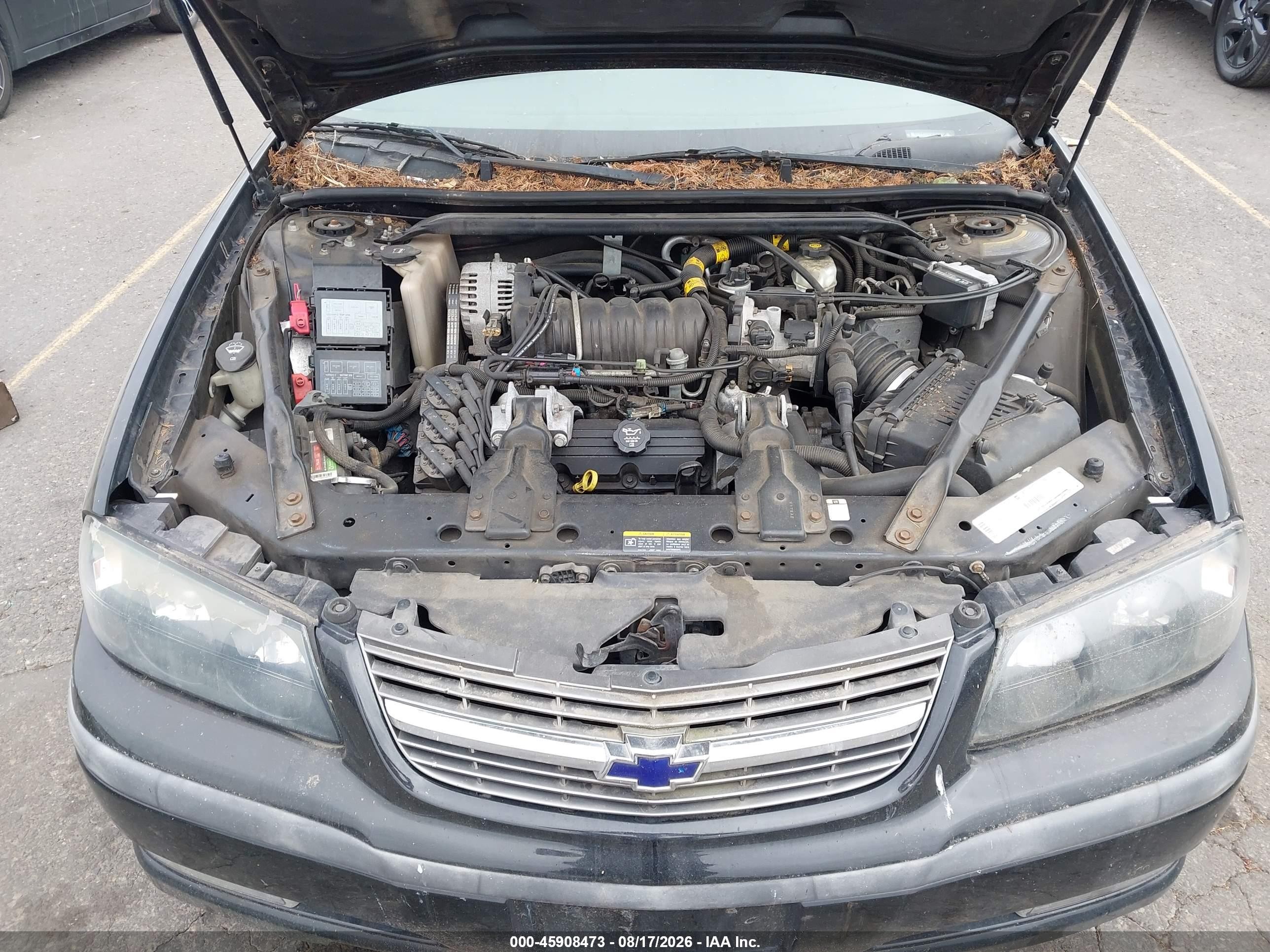2003 Chevrolet Impala Ls Black vin: 2G1WH55KX39120661