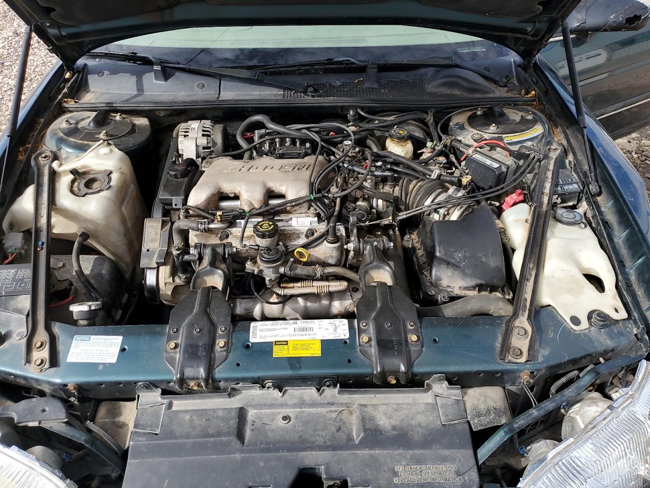 2001 Chevrolet Lumina Green vin: 2G1WL52J411298104
