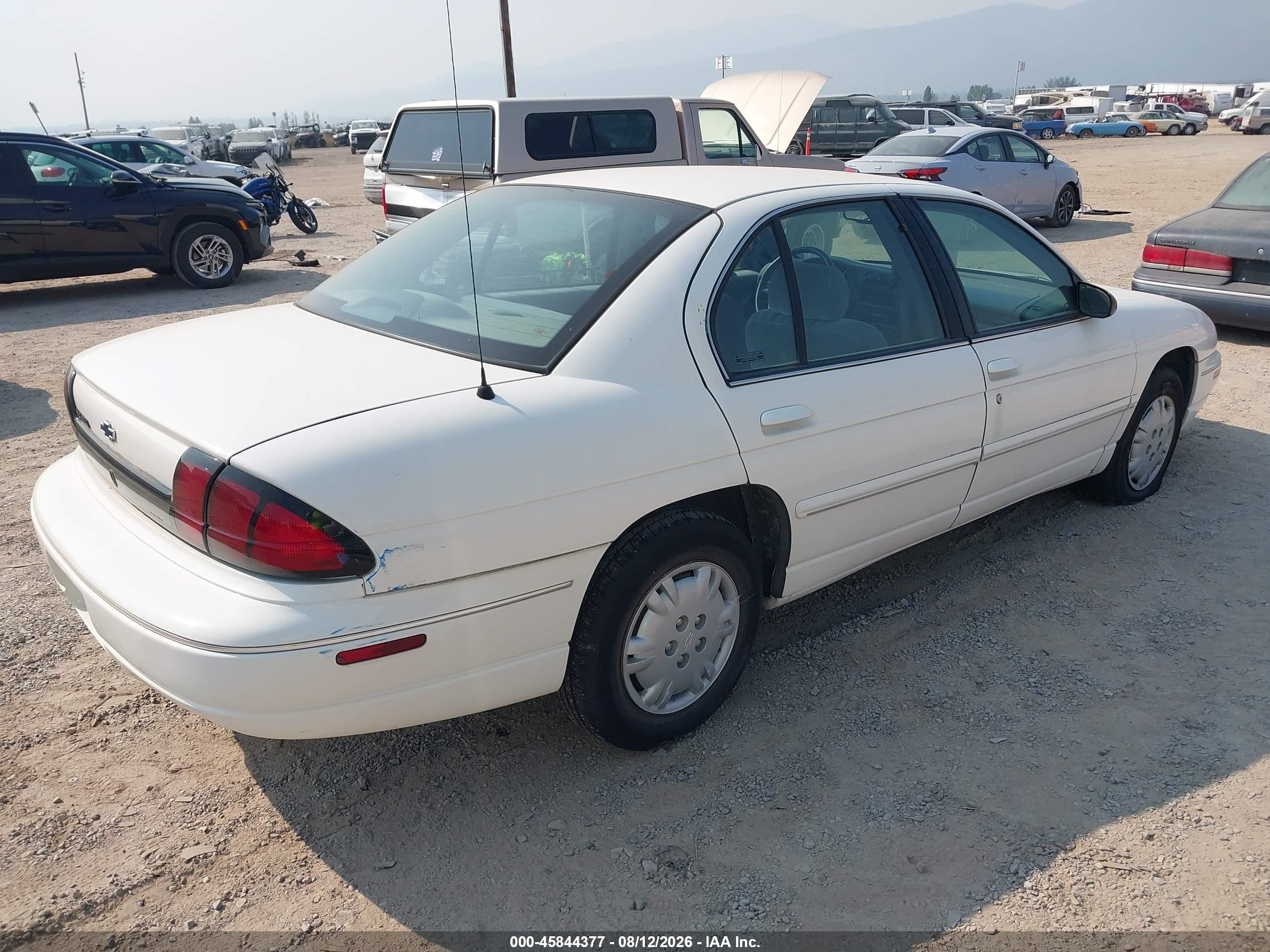 2001 Chevrolet Lumina   White vin: 2G1WL52J711294368