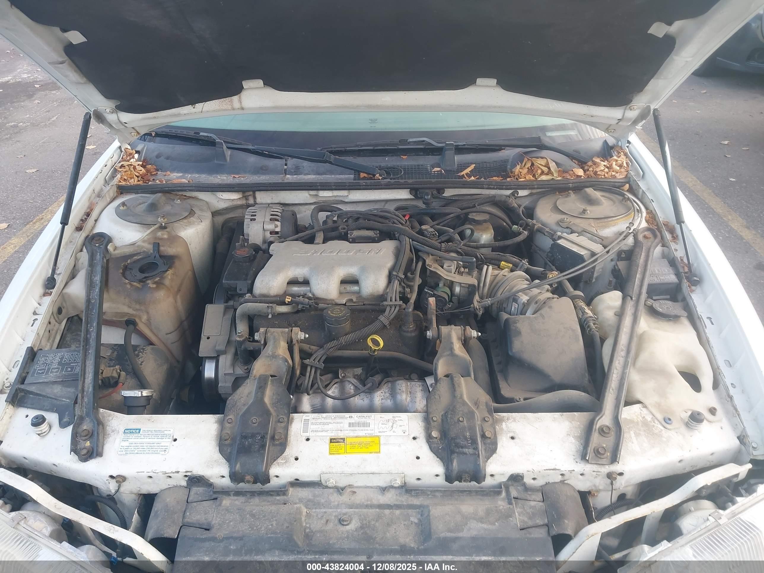 2000 Chevrolet Lumina   White vin: 2G1WL52J8Y1344401