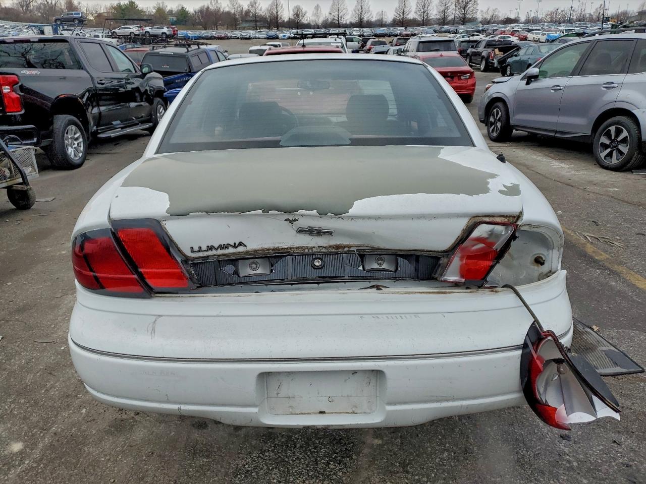 1996 Chevrolet Lumina White vin: 2G1WL52M0T1151176