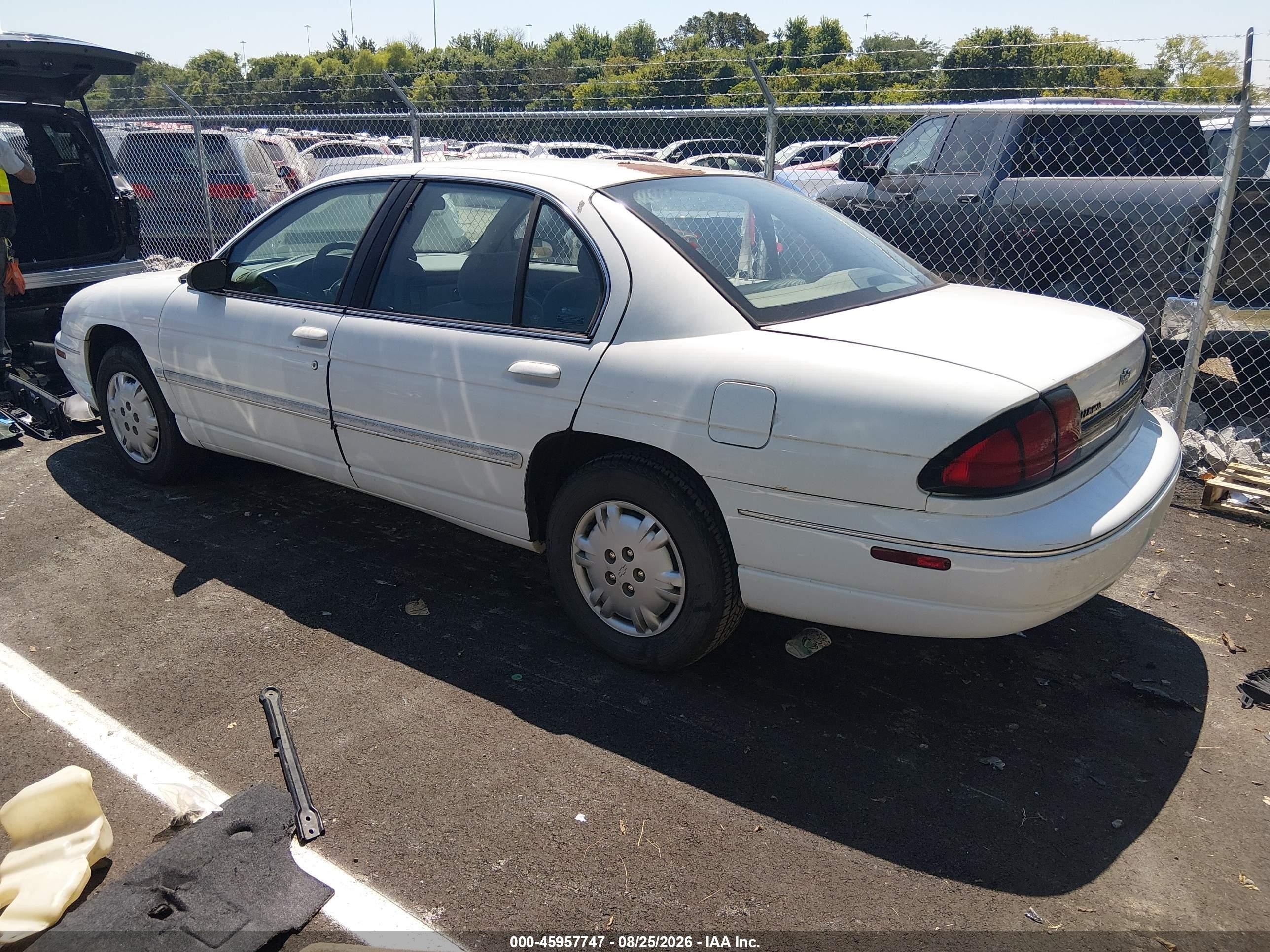1999 Chevrolet Lumina   White vin: 2G1WL52M1X9180211