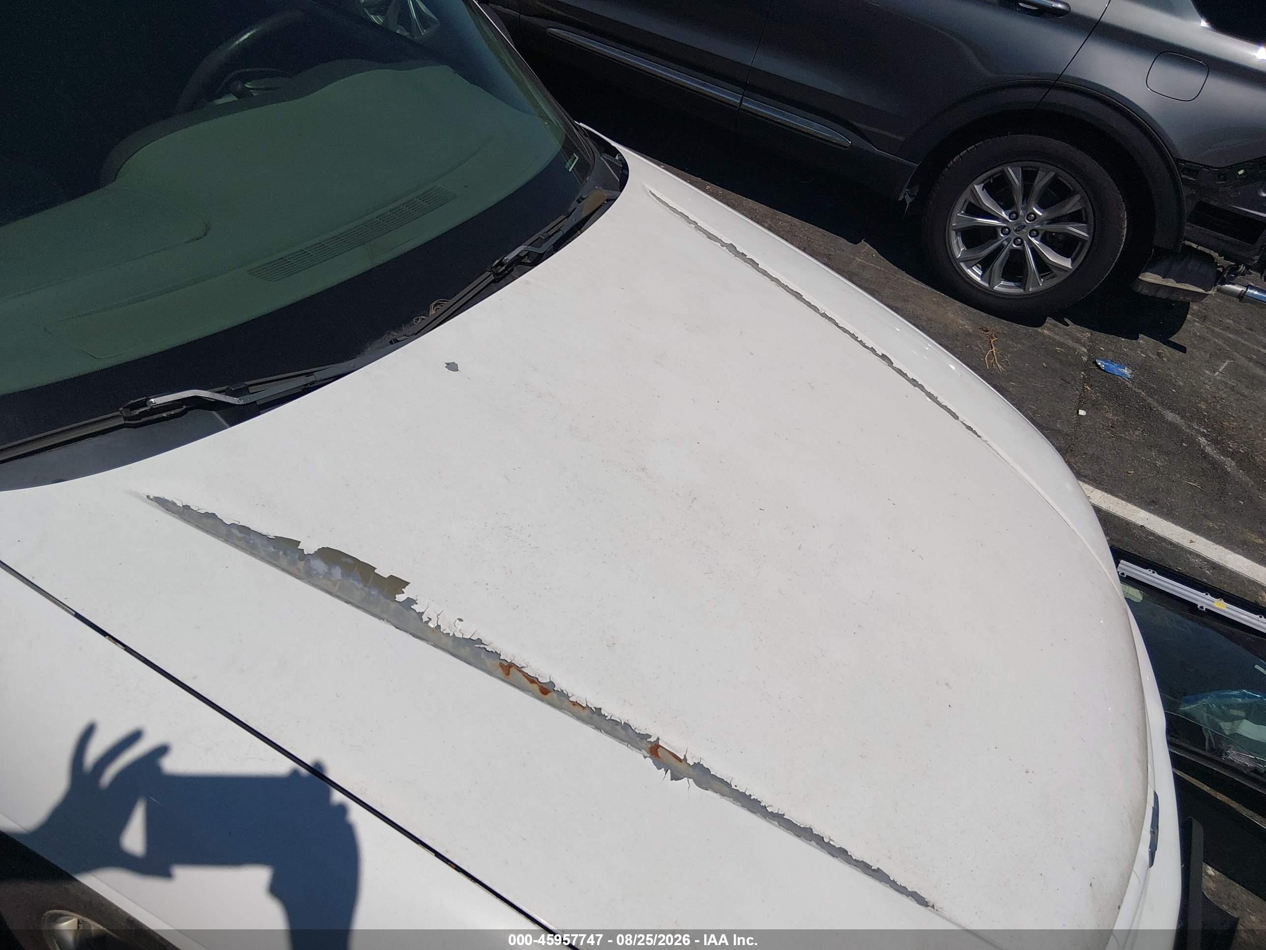 1999 Chevrolet Lumina   White vin: 2G1WL52M1X9180211