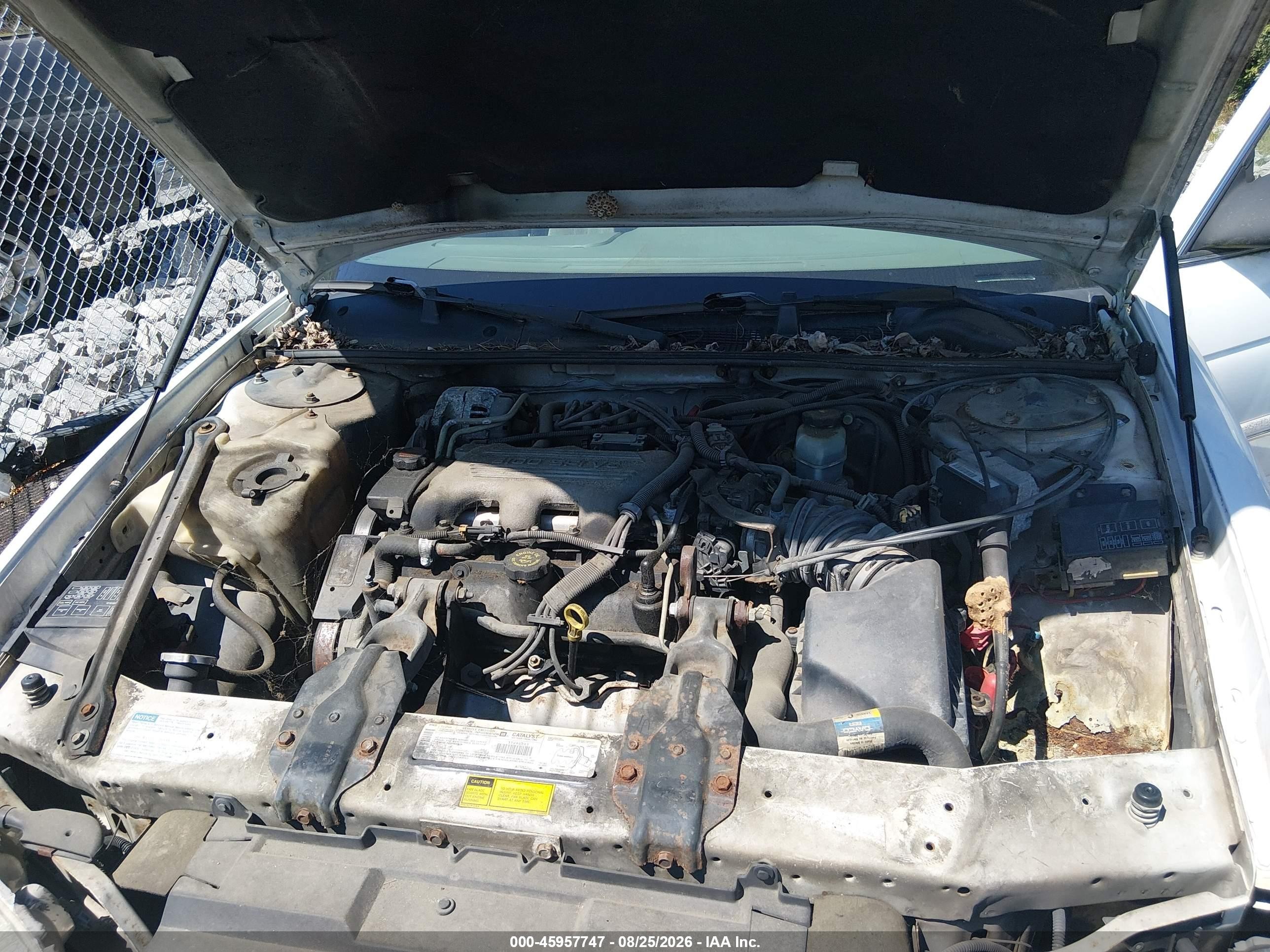 1999 Chevrolet Lumina   White vin: 2G1WL52M1X9180211