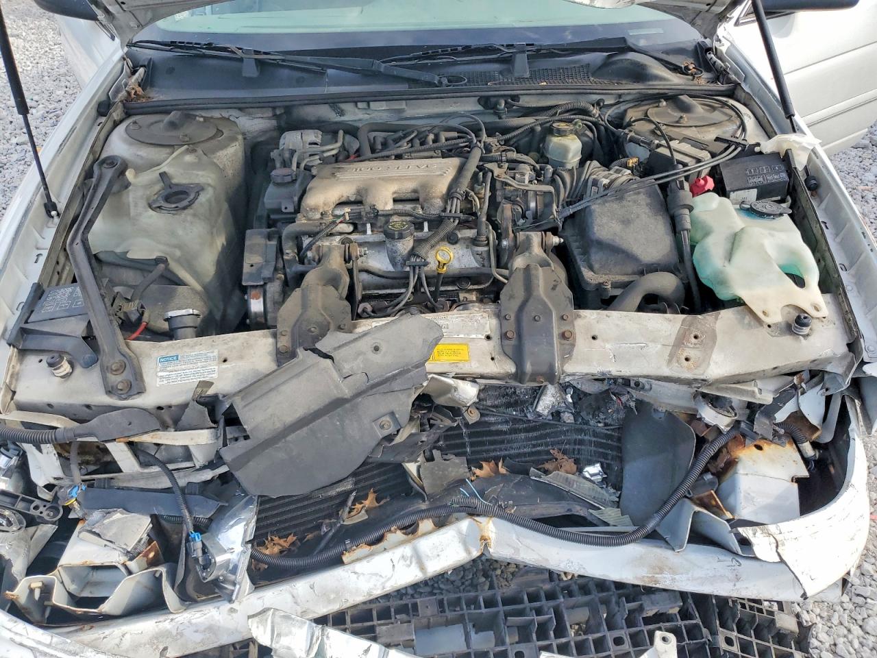 1999 Chevrolet Lumina Base White vin: 2G1WL52M2X9228766