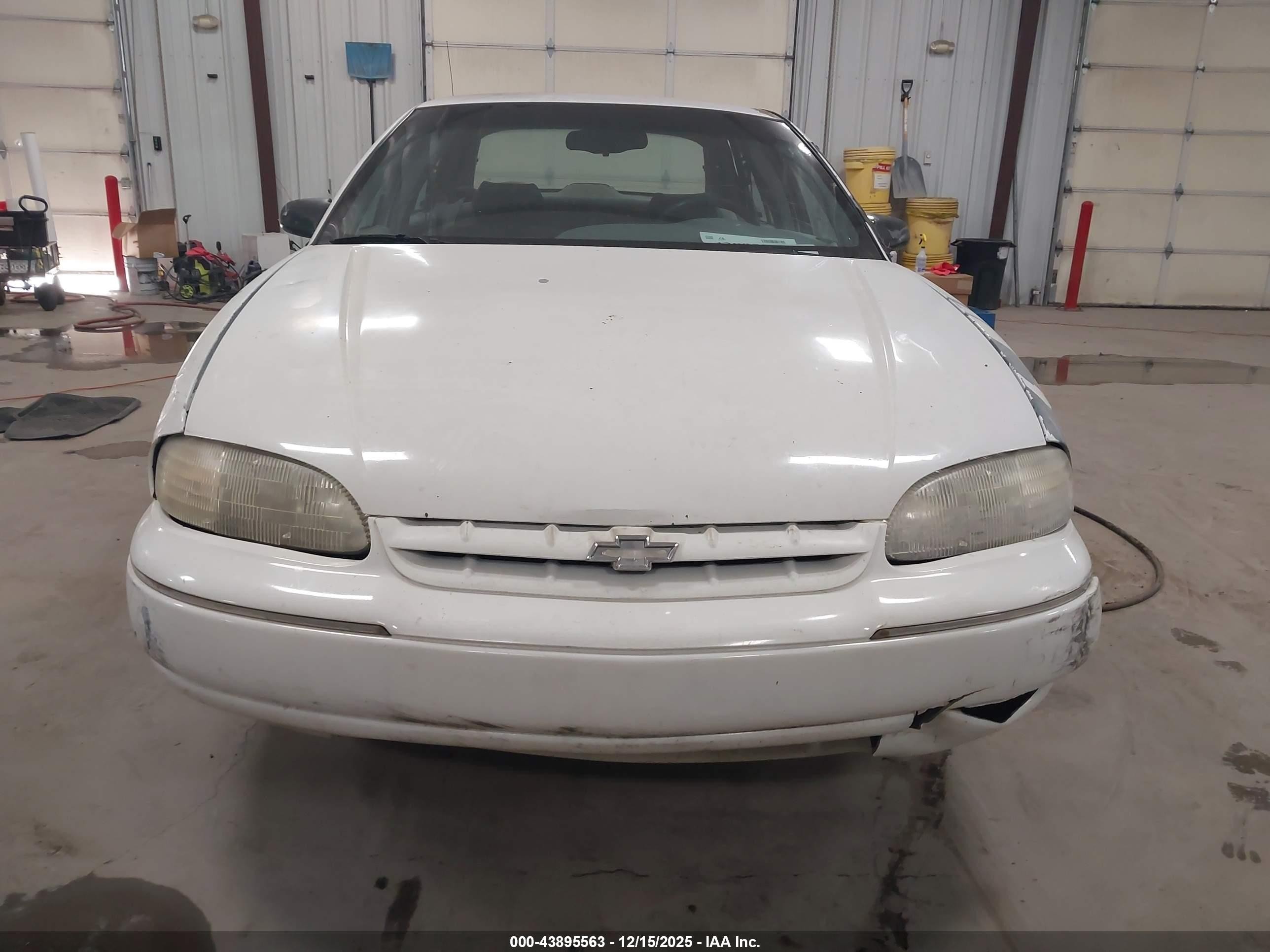 1995 Chevrolet Lumina   White vin: 2G1WL52M5S1130970