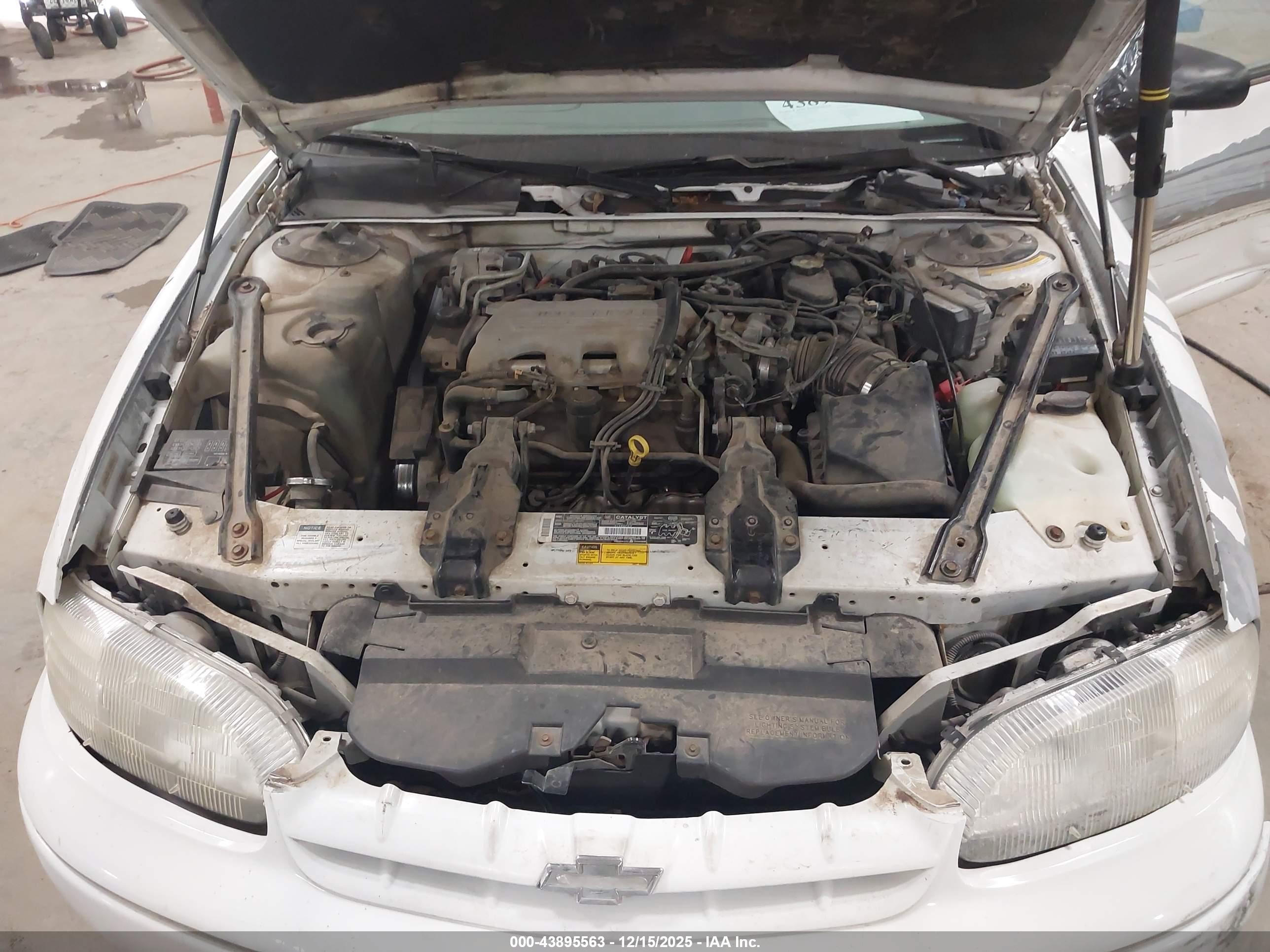 1995 Chevrolet Lumina   White vin: 2G1WL52M5S1130970