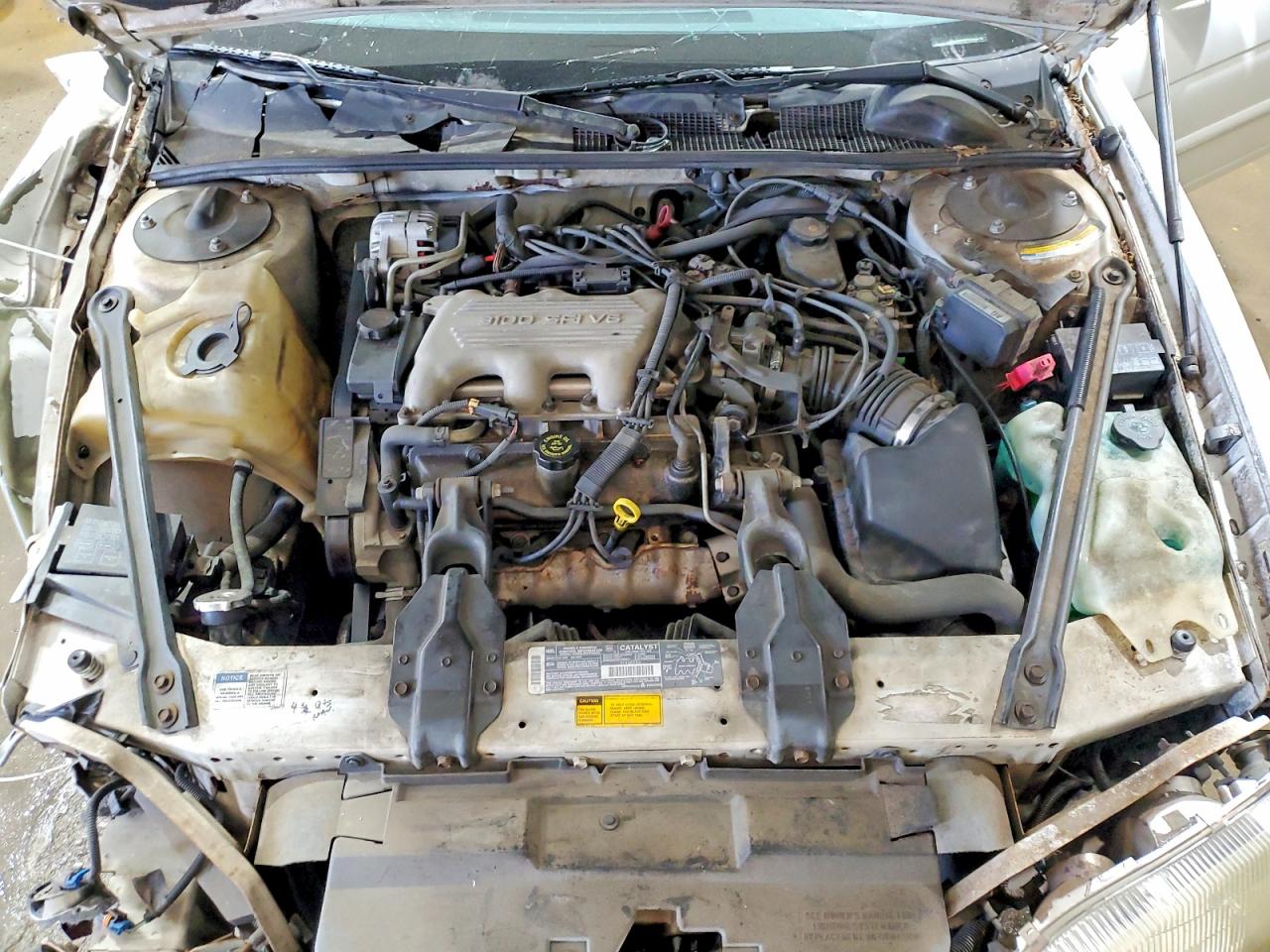 1995 Chevrolet Lumina White vin: 2G1WL52M5S1161250