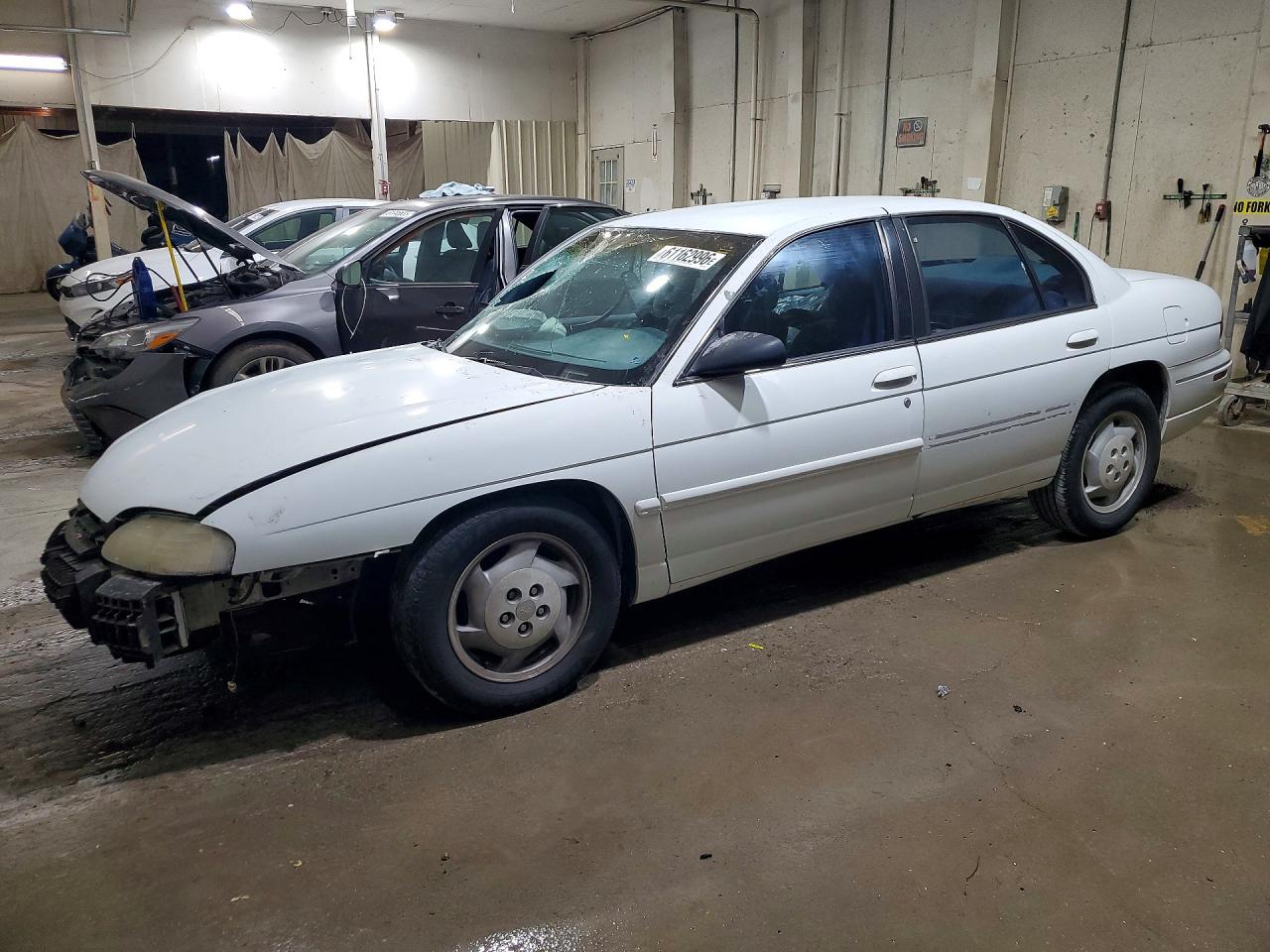 1995 Chevrolet Lumina White vin: 2G1WL52M5S1161250
