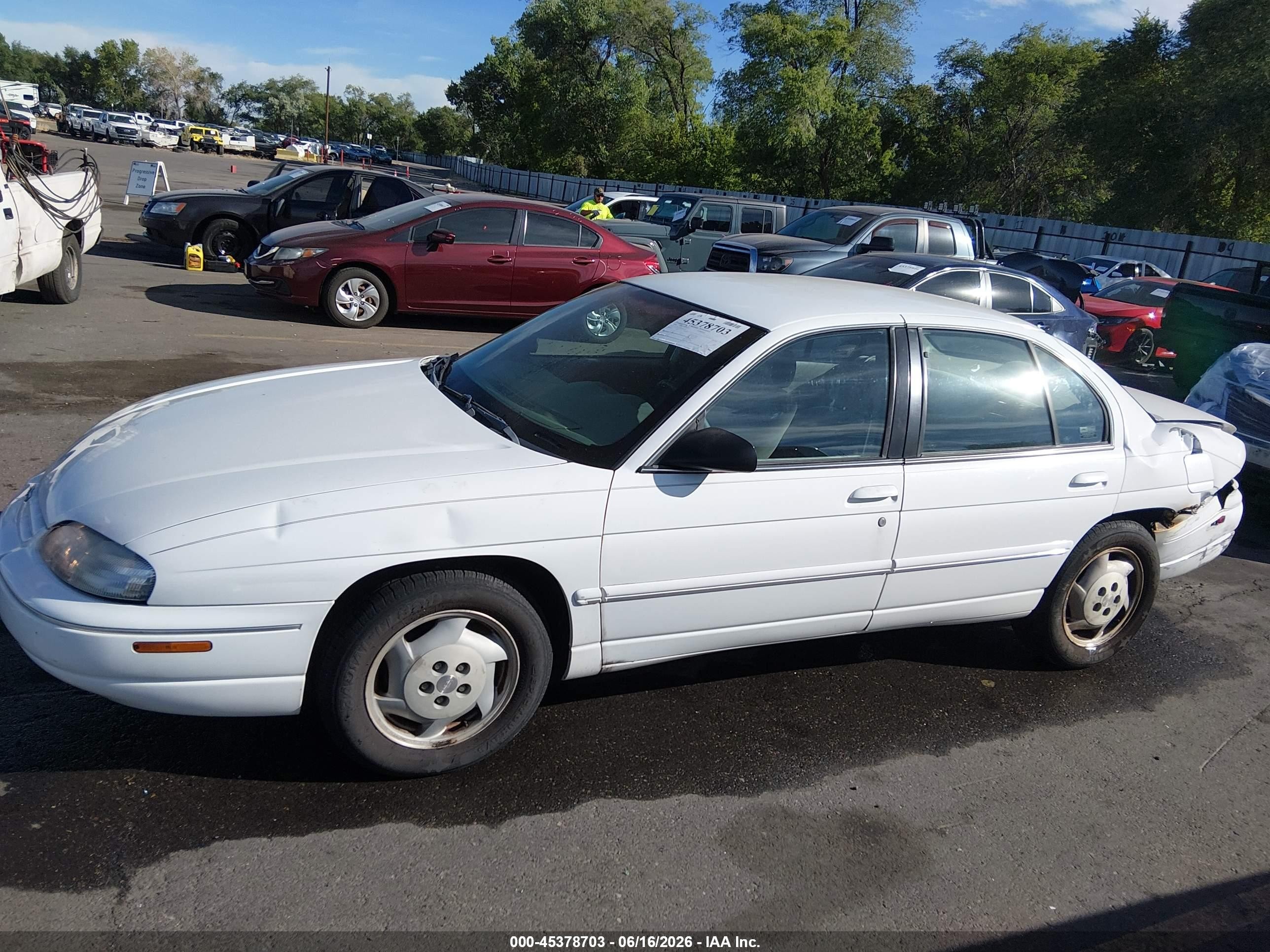 1999 Chevrolet Lumina   White vin: 2G1WL52M6X1105289