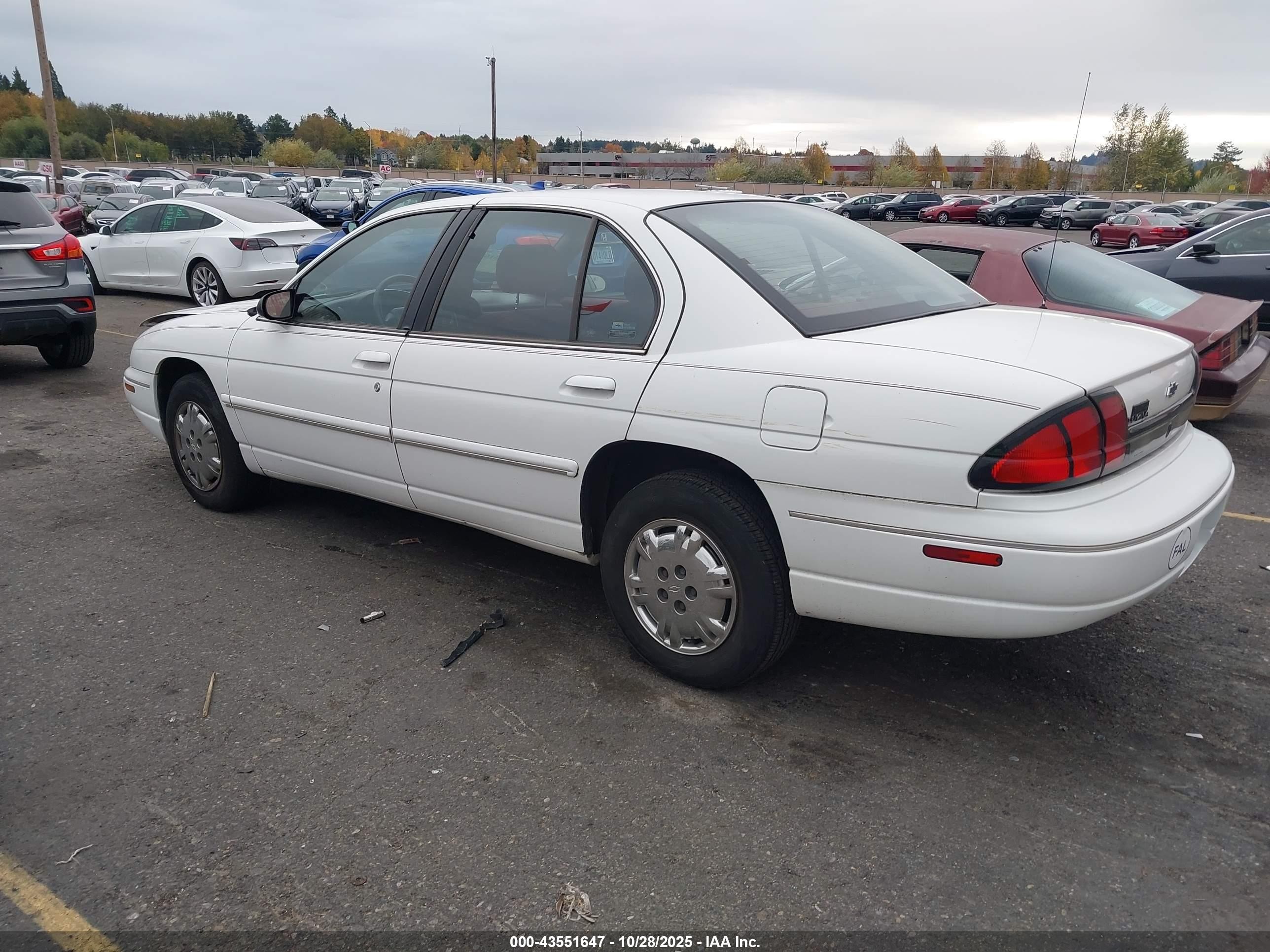 1995 Chevrolet Lumina   White vin: 2G1WL52M7S9325888