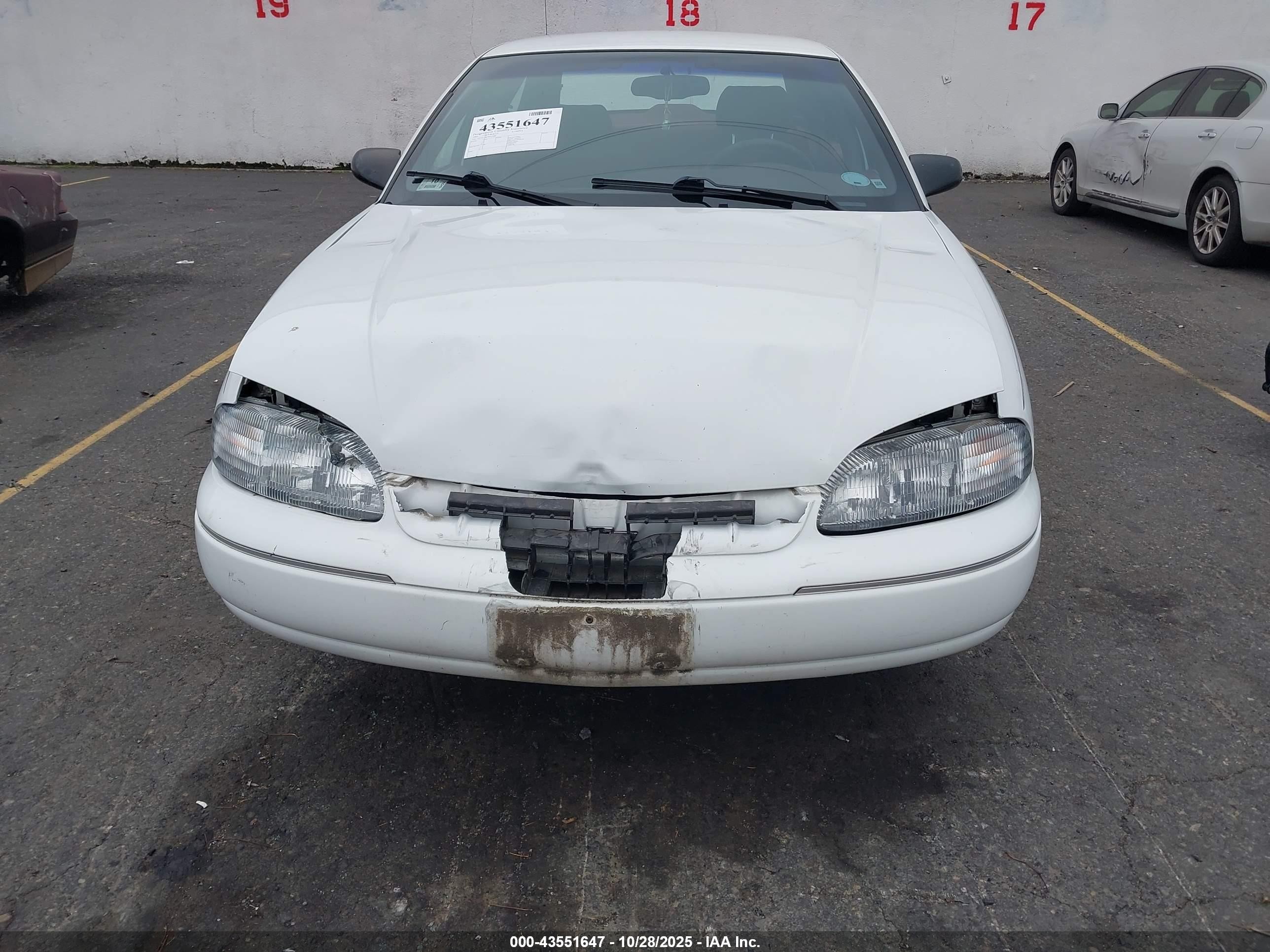 1995 Chevrolet Lumina   White vin: 2G1WL52M7S9325888