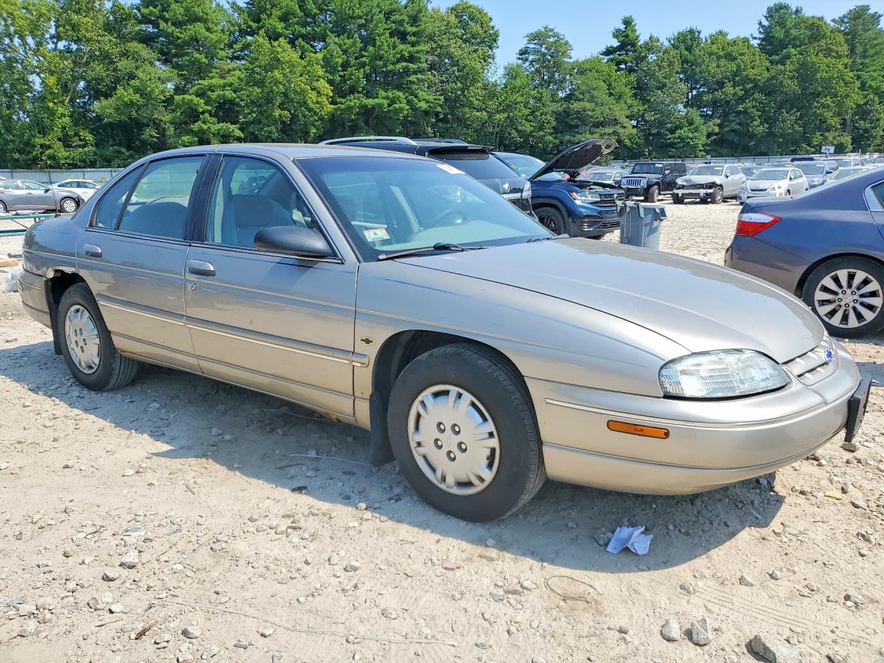 1998 Chevrolet Lumina Base Золотой vin: 2G1WL52M7W9138818
