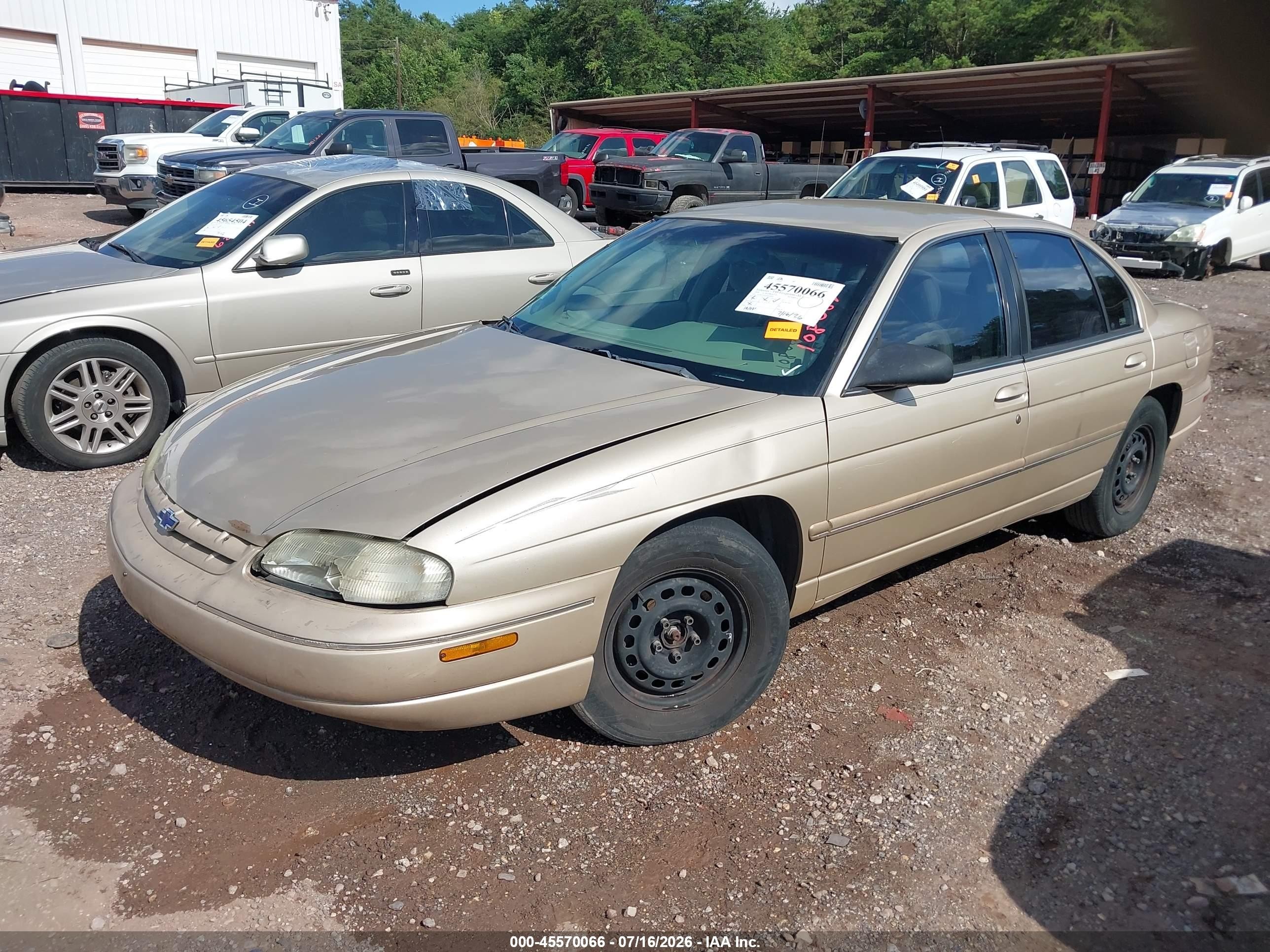 1999 Chevrolet Lumina   Brown vin: 2G1WL52M7X9108087