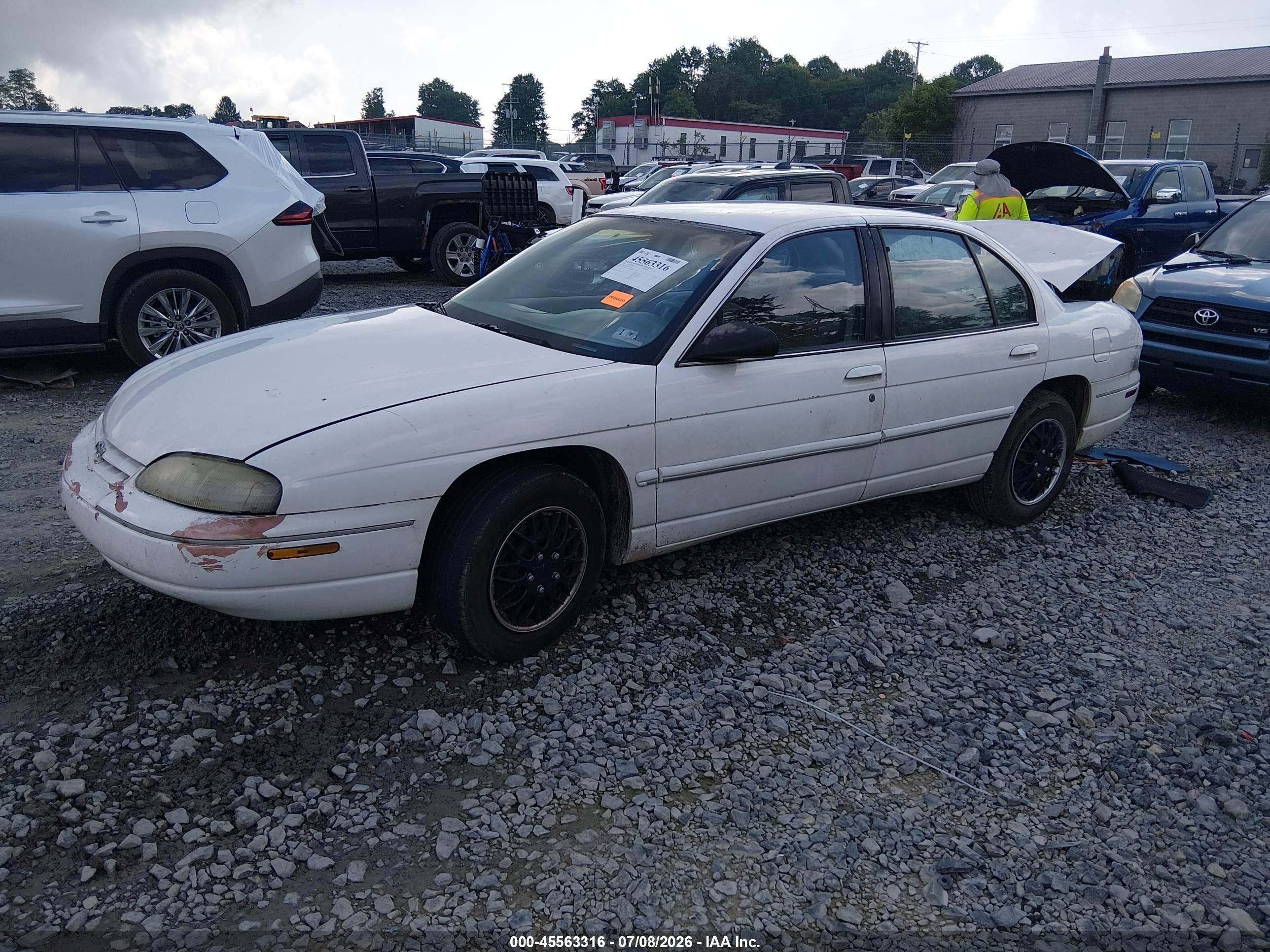 1995 Chevrolet Lumina   White vin: 2G1WL52MXS1101982