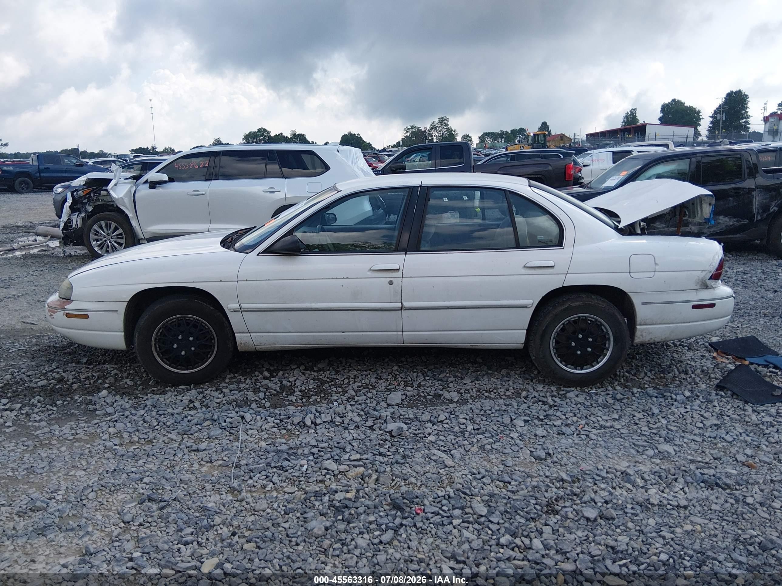 1995 Chevrolet Lumina   White vin: 2G1WL52MXS1101982