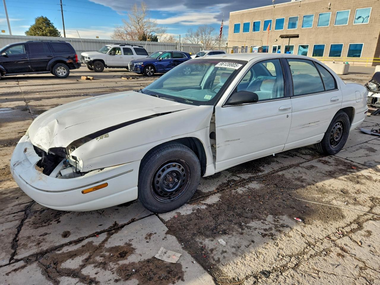 1995 Chevrolet Lumina Белый vin: 2G1WL52MXS9253505