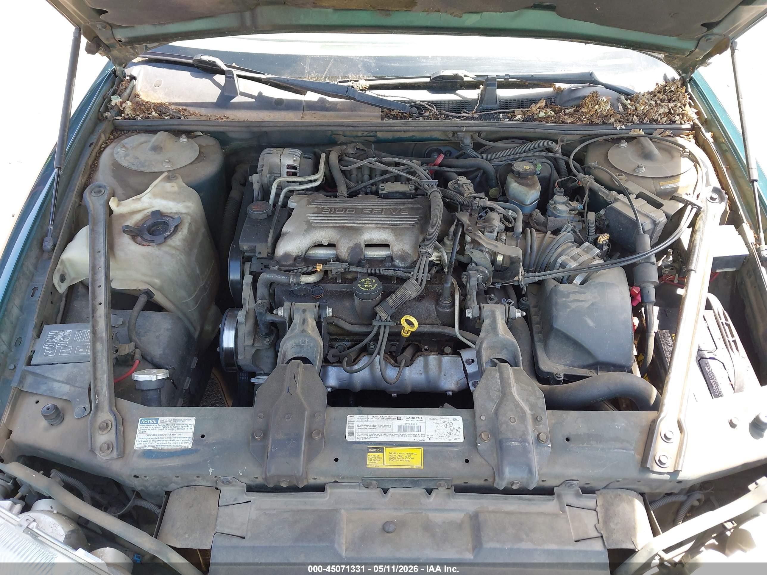 1998 Chevrolet Lumina   Green vin: 2G1WL52MXW9314843