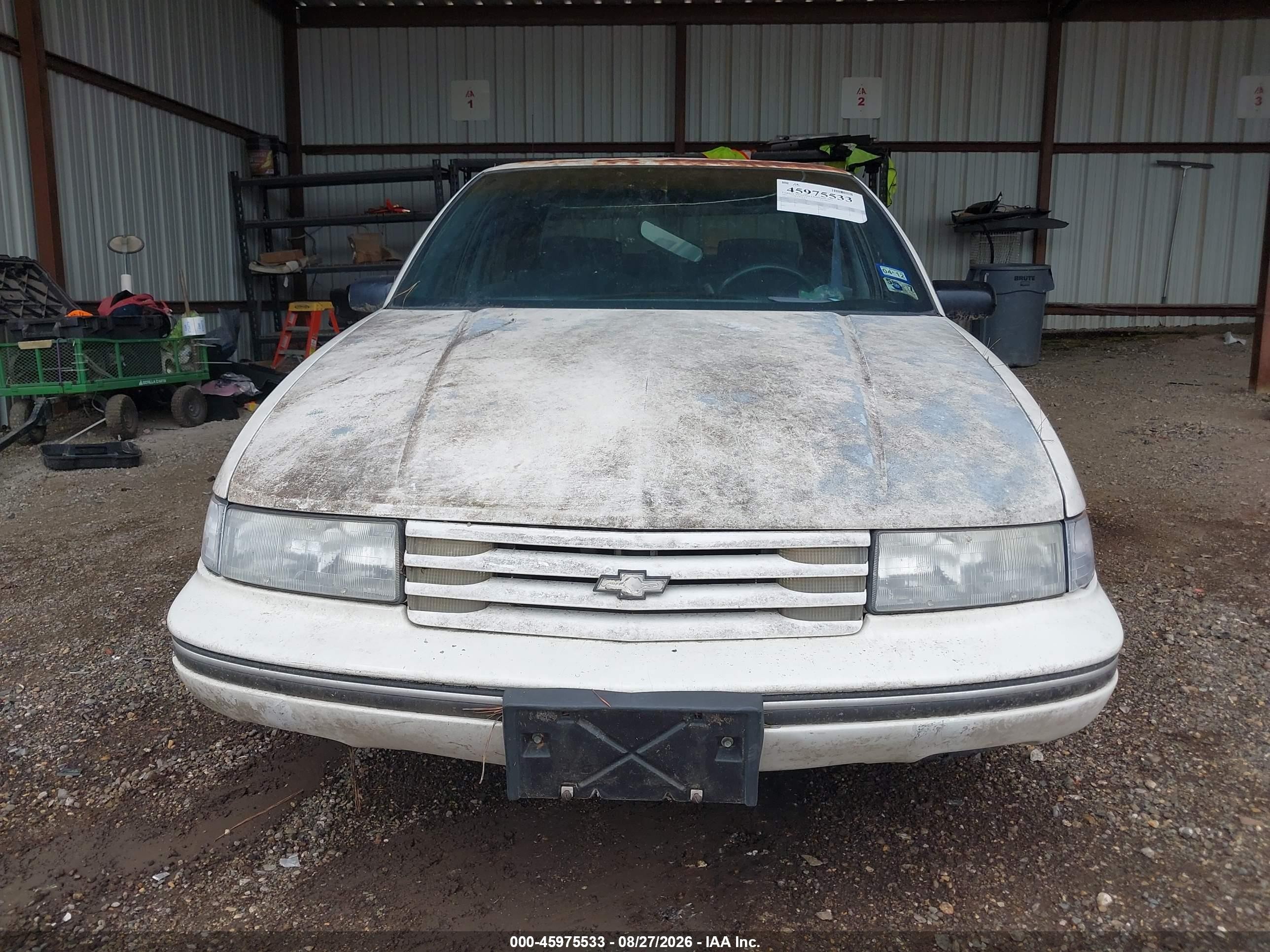 1991 Chevrolet Lumina   White vin: 2G1WL54T0M1129880