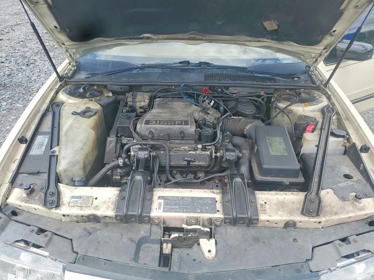1991 Chevrolet Lumina Beige vin: 2G1WL54T0M9114247