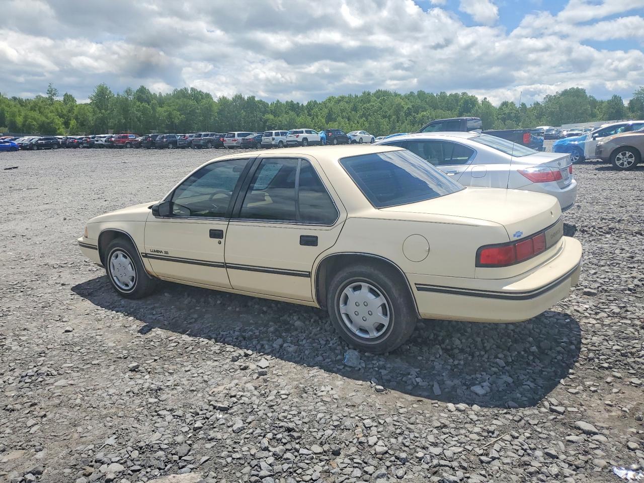1991 Chevrolet Lumina Beige vin: 2G1WL54T0M9114247