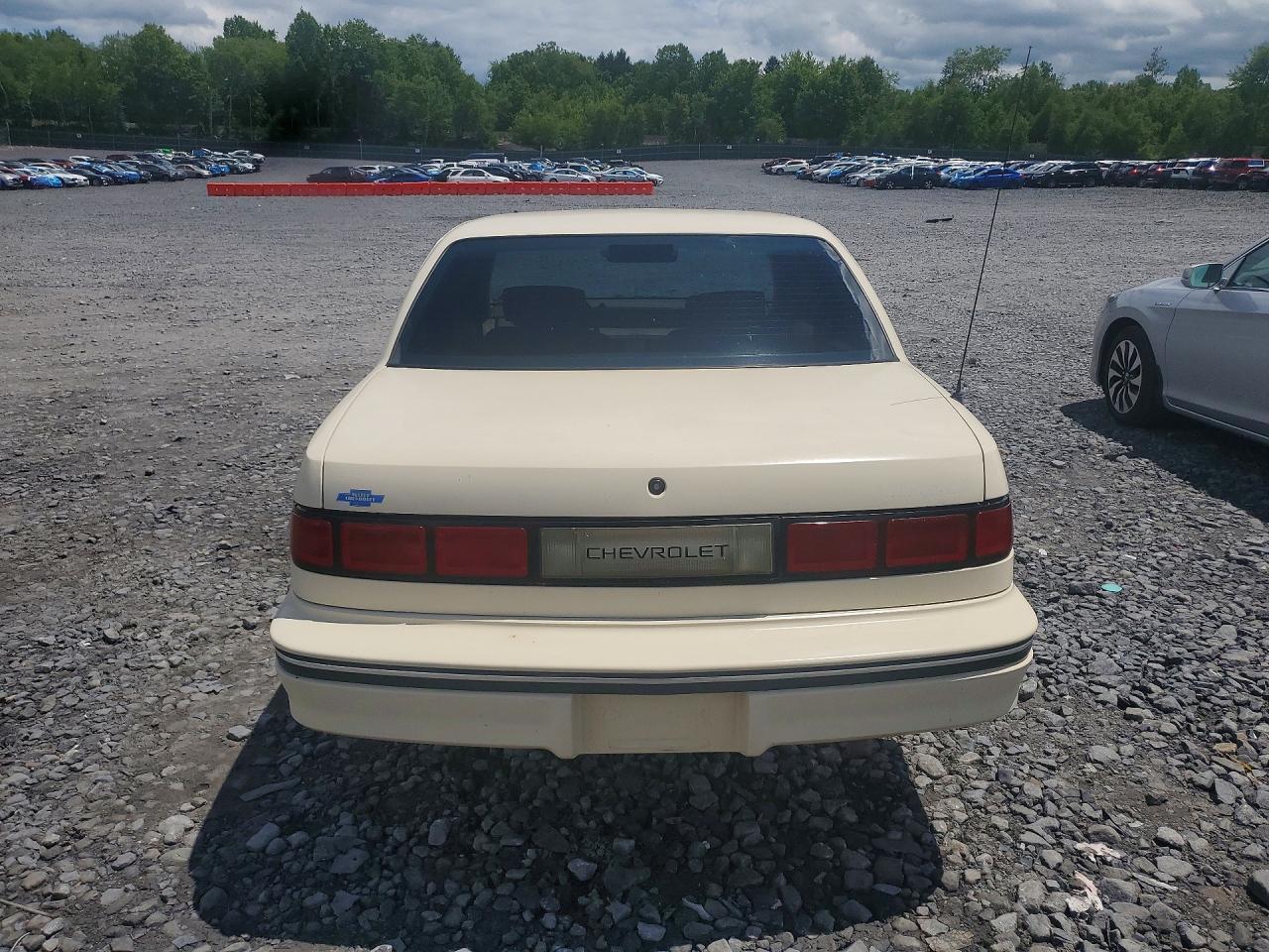 1991 Chevrolet Lumina Beige vin: 2G1WL54T0M9114247