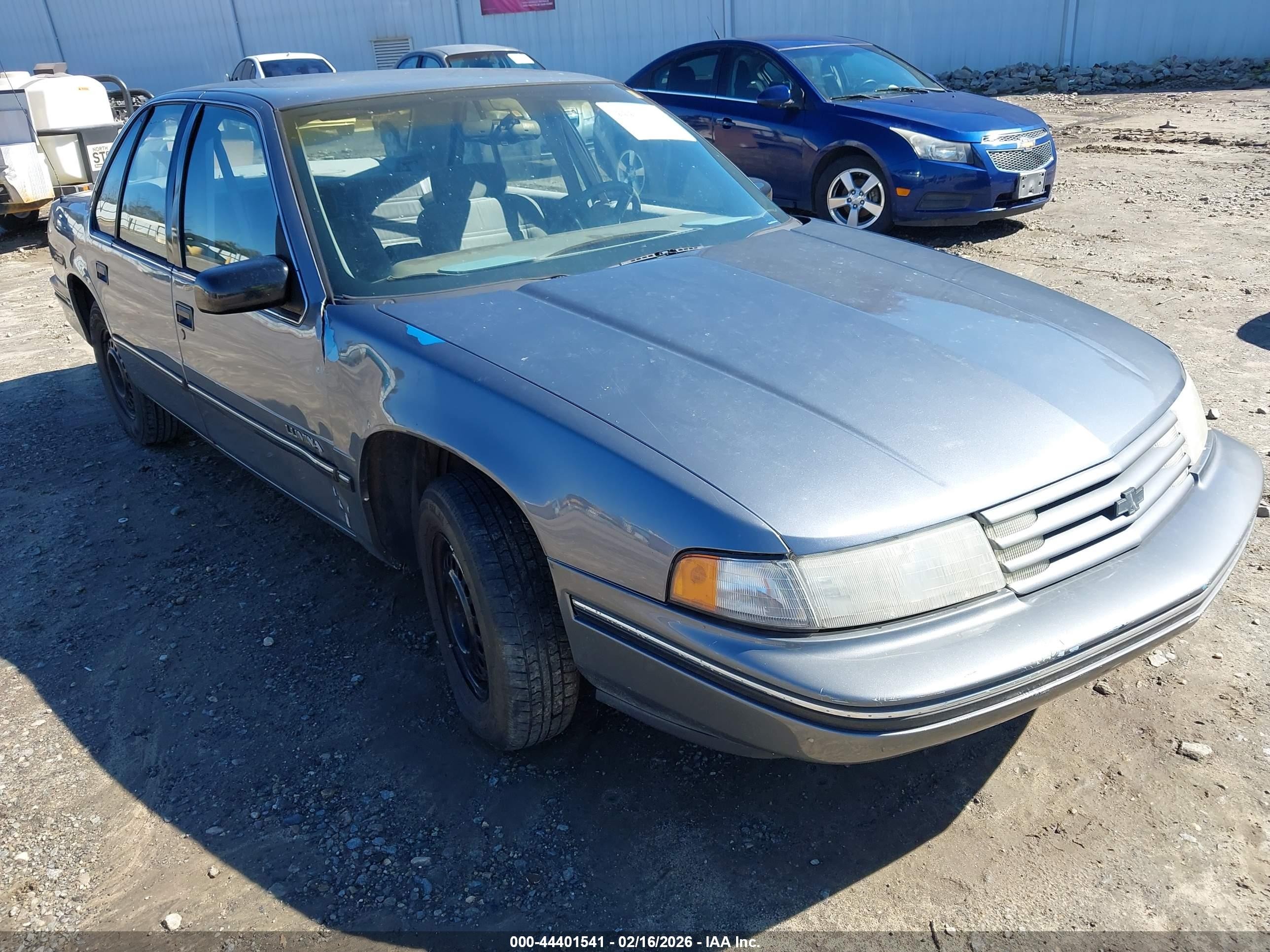 1993 Chevrolet Lumina   Gray vin: 2G1WL54T3P1134768