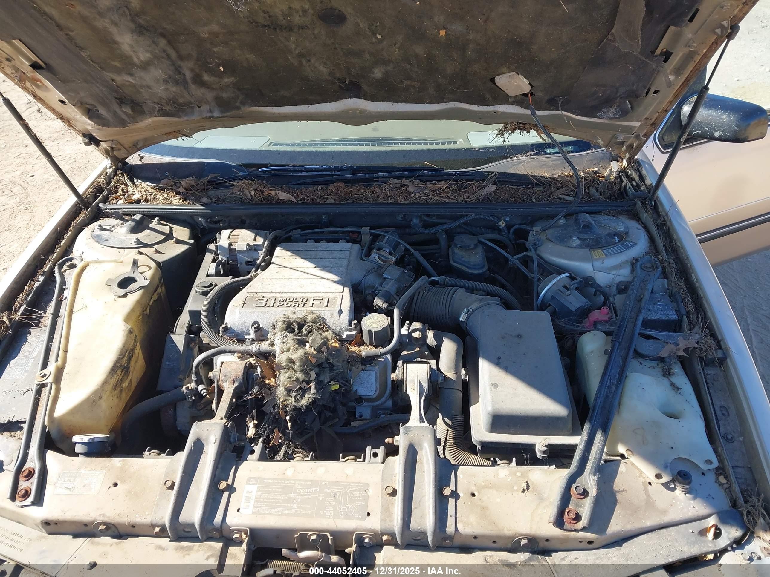 1993 Chevrolet Lumina   Gold vin: 2G1WL54T4P9214730