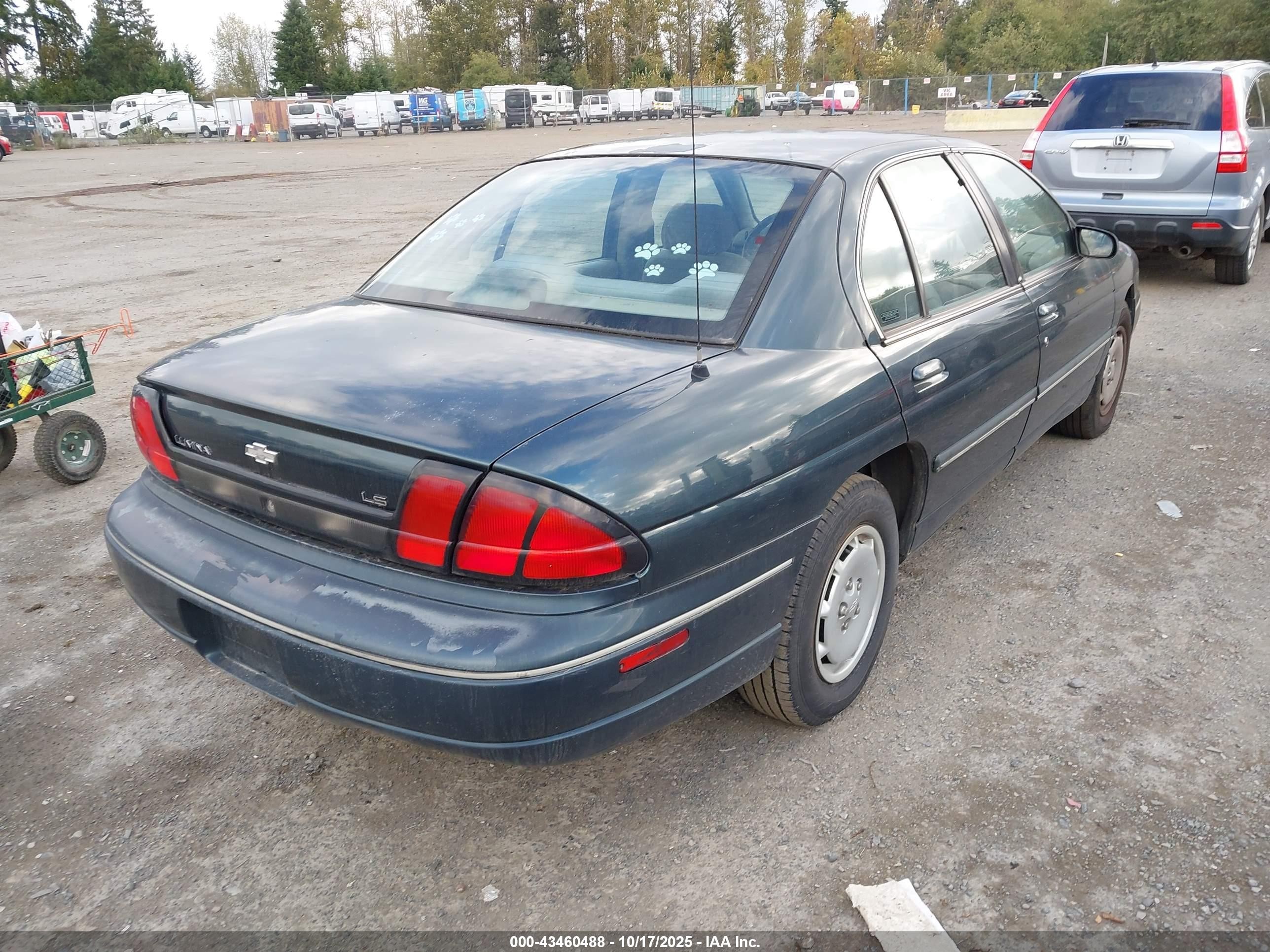 1995 Chevrolet Lumina Ls Gray vin: 2G1WN52M5S9341596