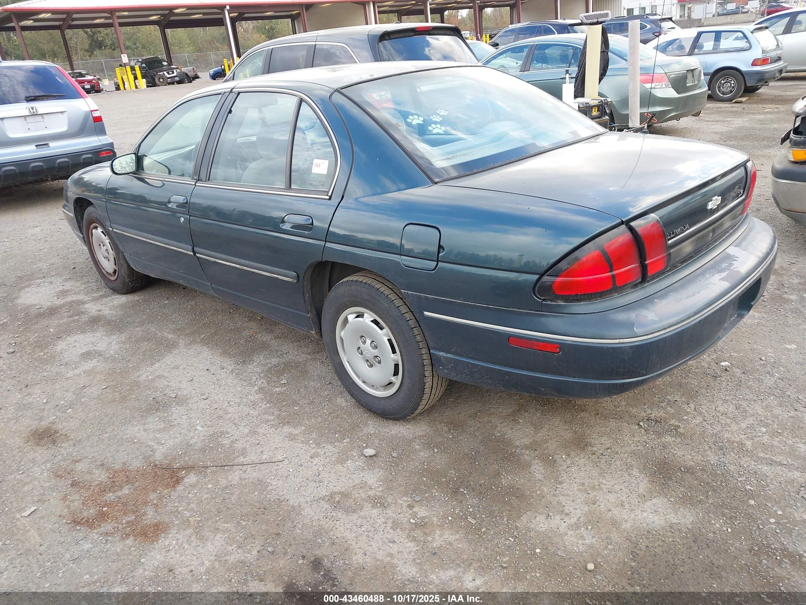 1995 Chevrolet Lumina Ls Gray vin: 2G1WN52M5S9341596