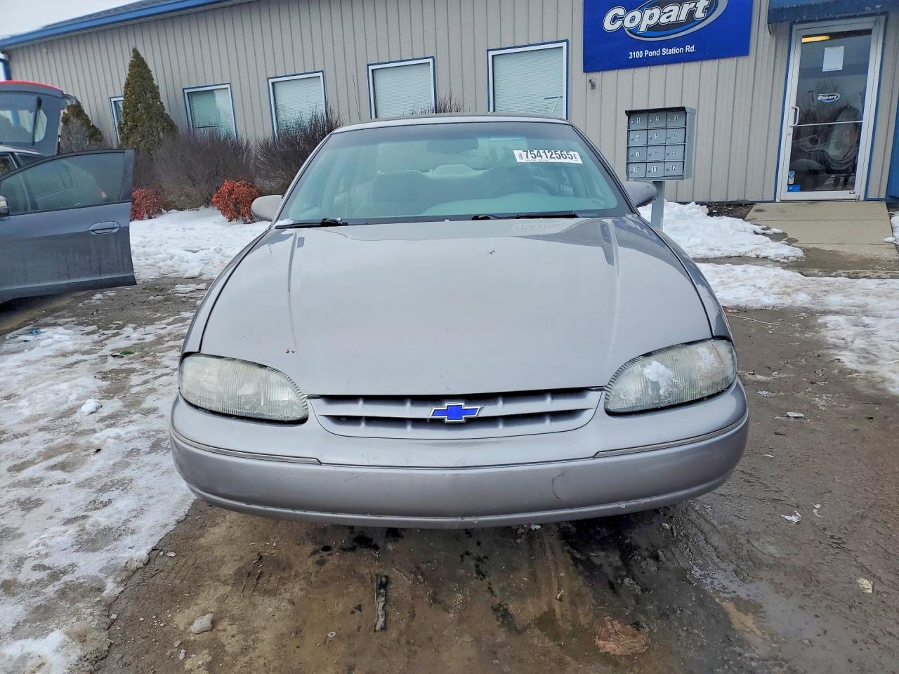 1996 Chevrolet Lumina Ls Gray vin: 2G1WN52MXT1119023