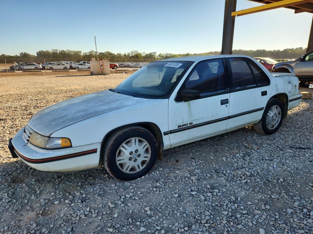 1992 Chevrolet Lumina Euro White vin: 2G1WN54T1N1103798