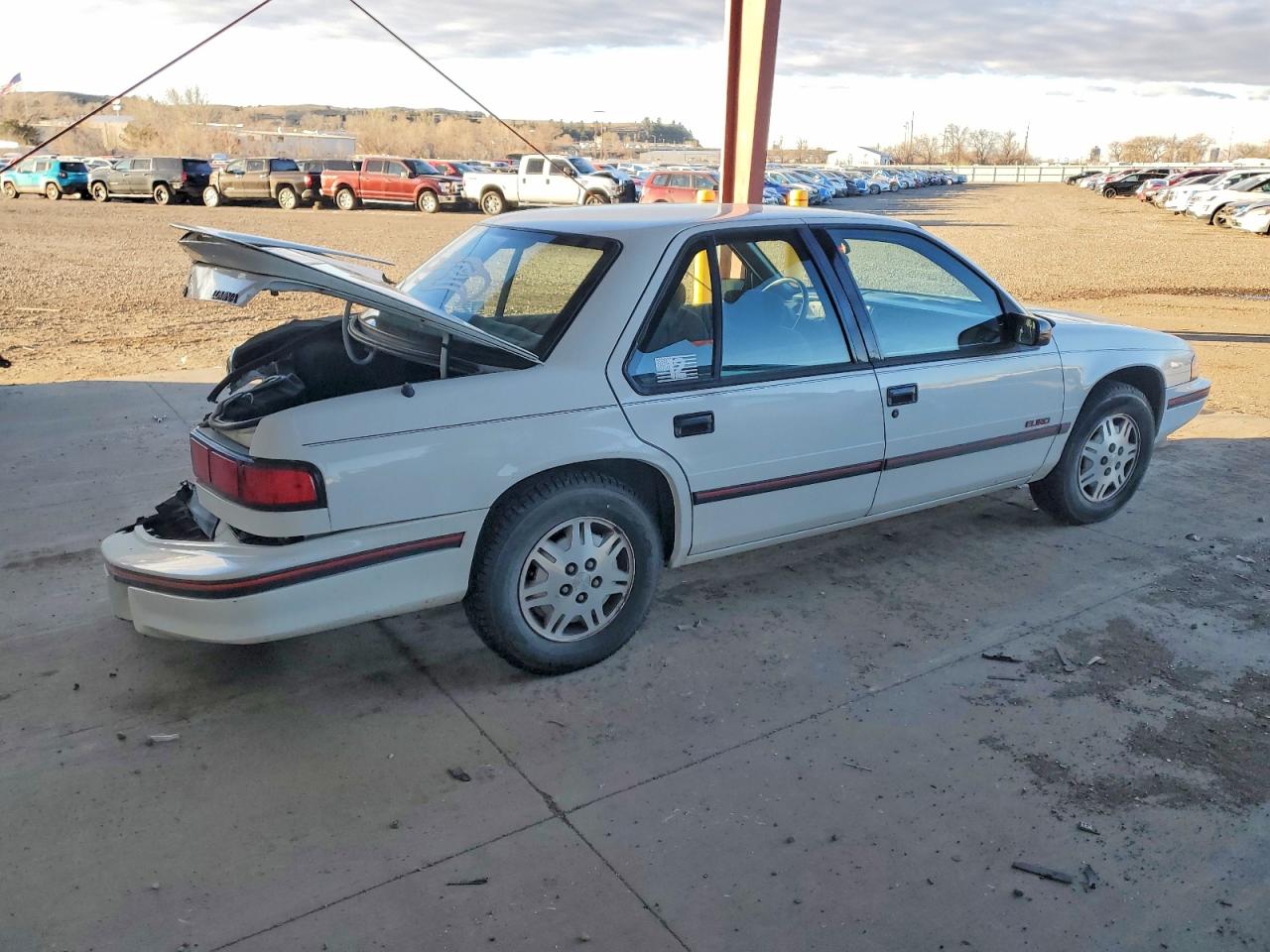 1993 Chevrolet Lumina Euro White vin: 2G1WN54T5P9195812