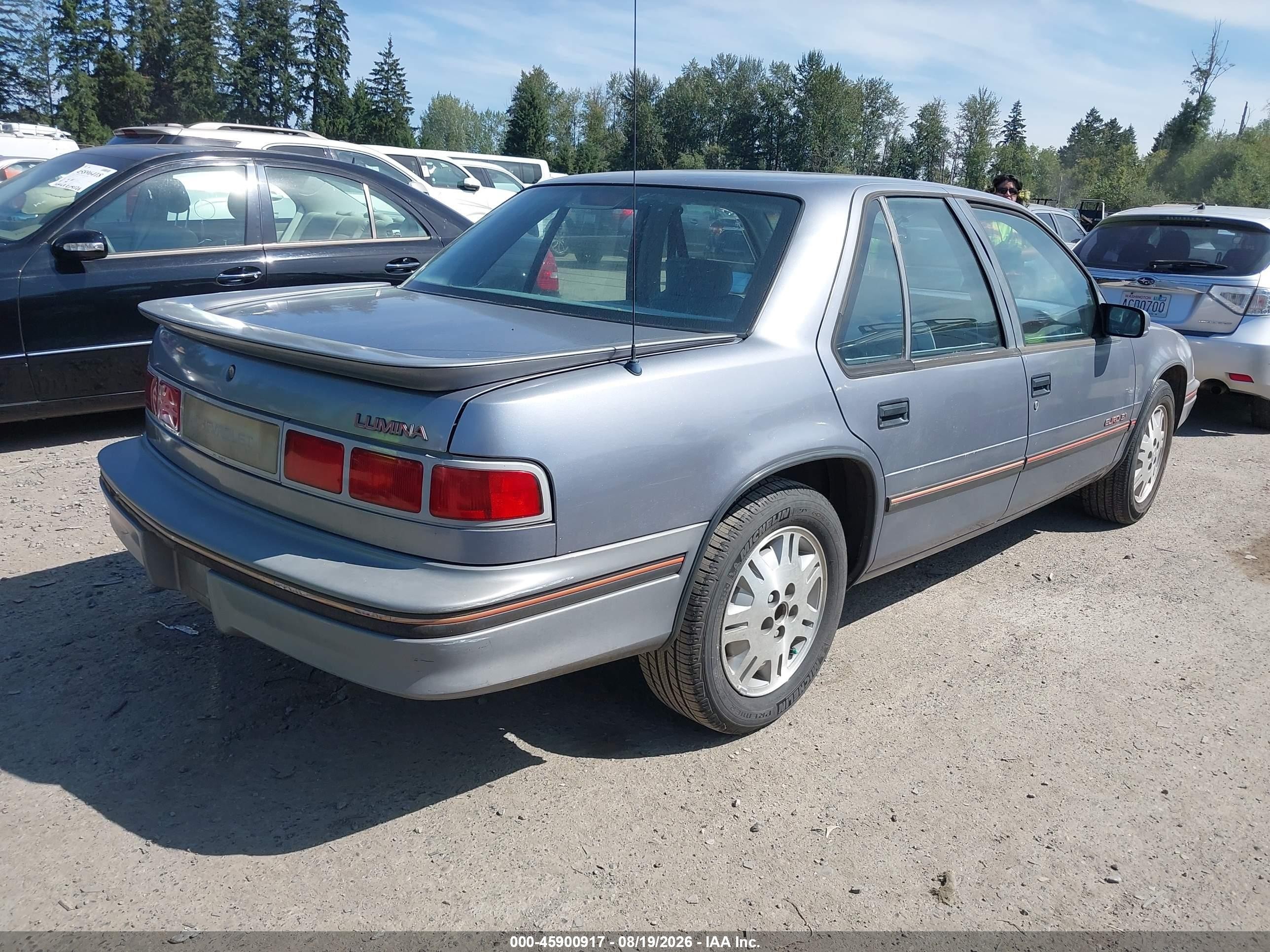 1990 Chevrolet Lumina Euro Silver vin: 2G1WN54T7L9306399