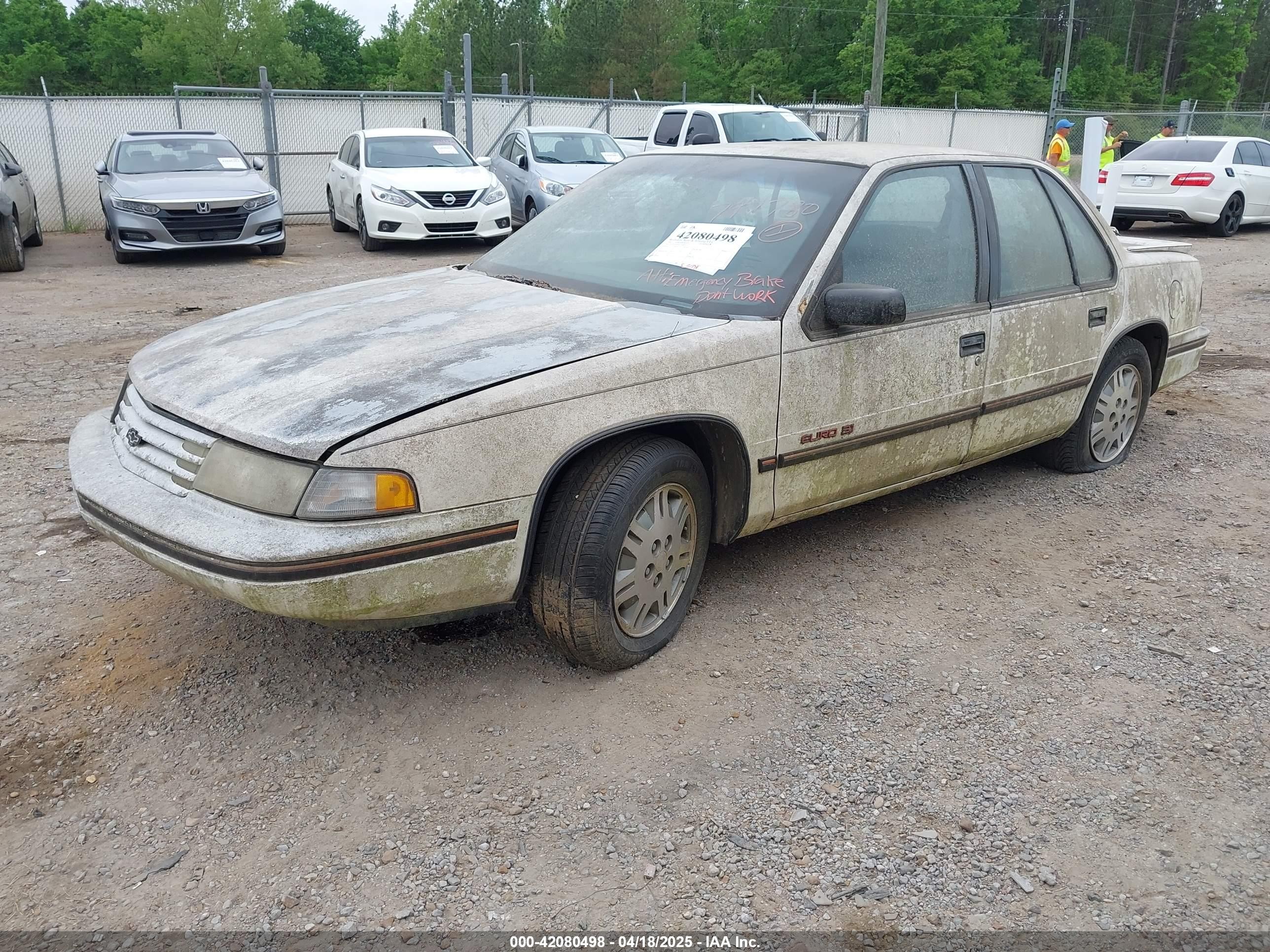 1991 Chevrolet Lumina Euro White vin: 2G1WN54T8M1150826
