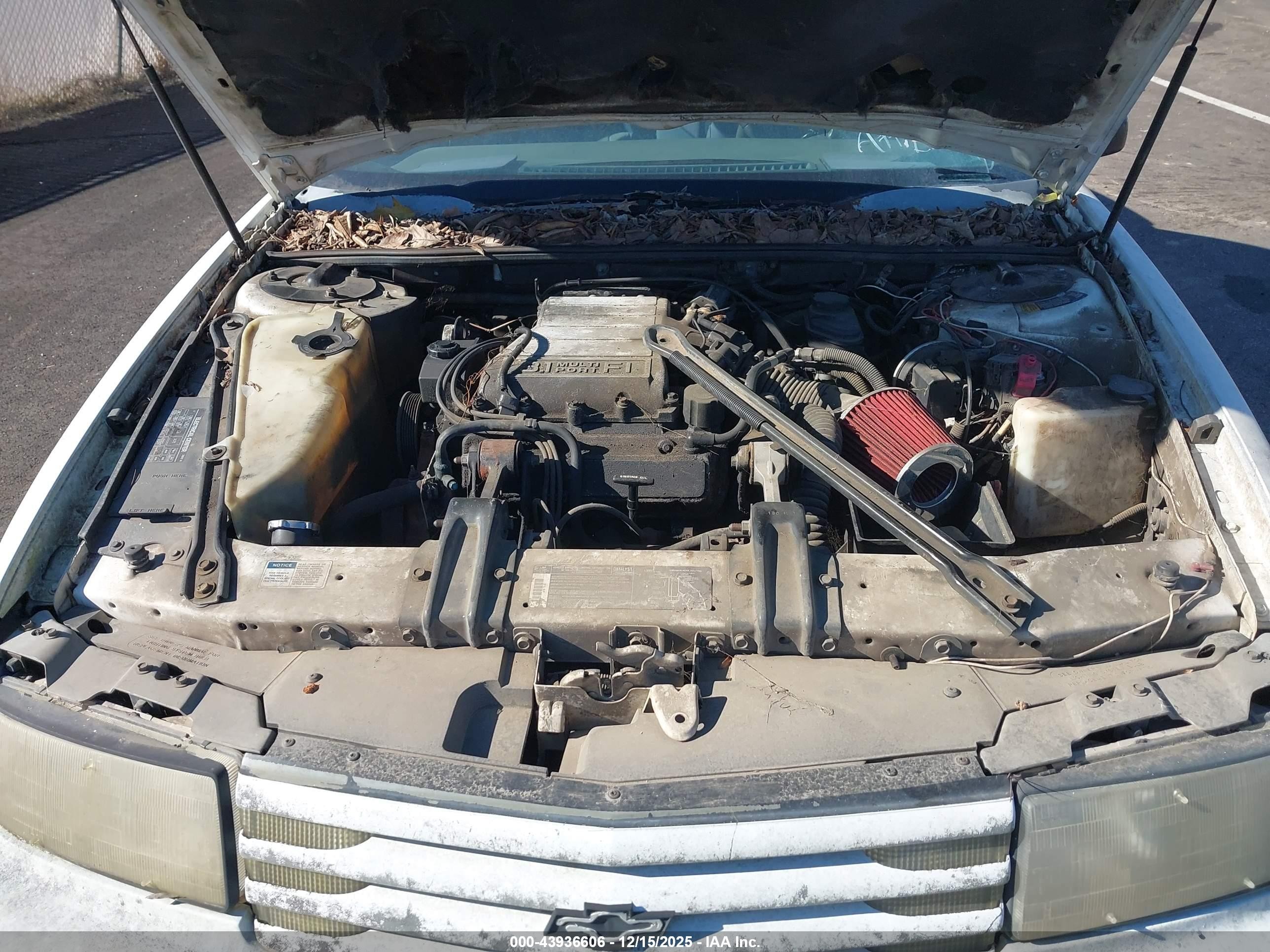 1991 Chevrolet Lumina Euro White vin: 2G1WN54T8M1150826