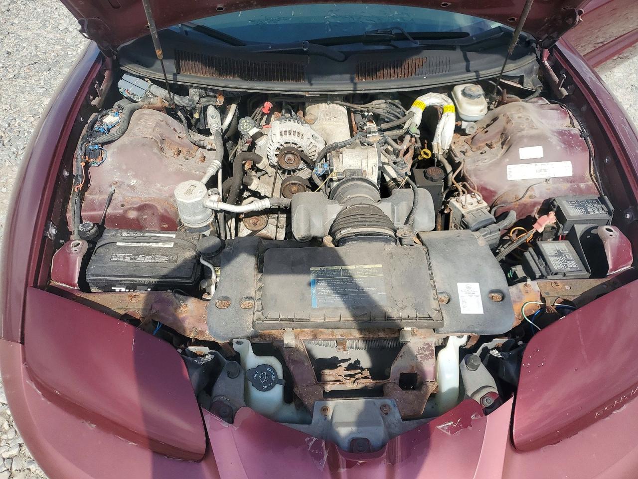 2001 Pontiac Firebird Burgundy vin: 2G2FS22K012126572