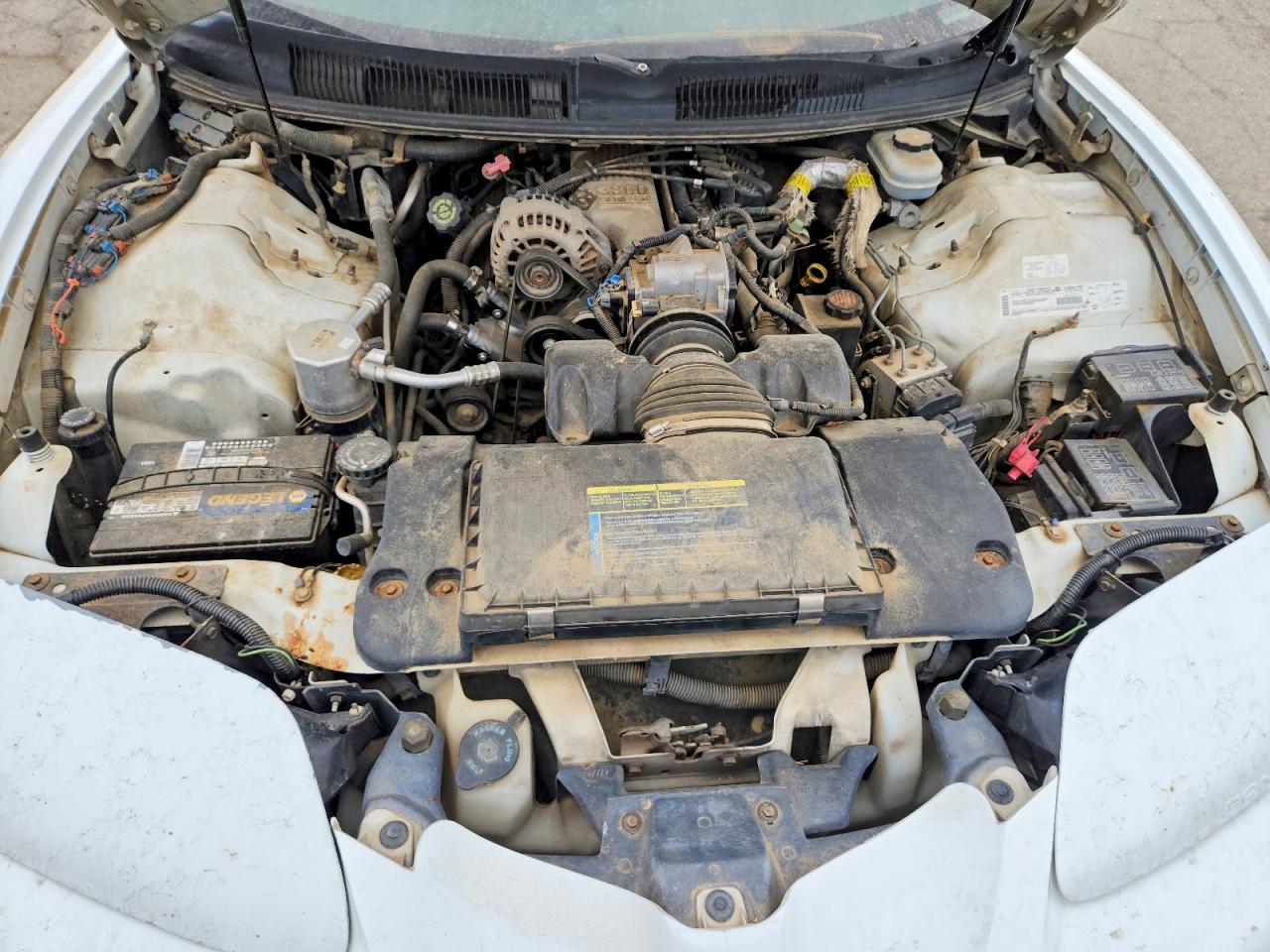 2001 Pontiac Firebird White vin: 2G2FS22K212132907