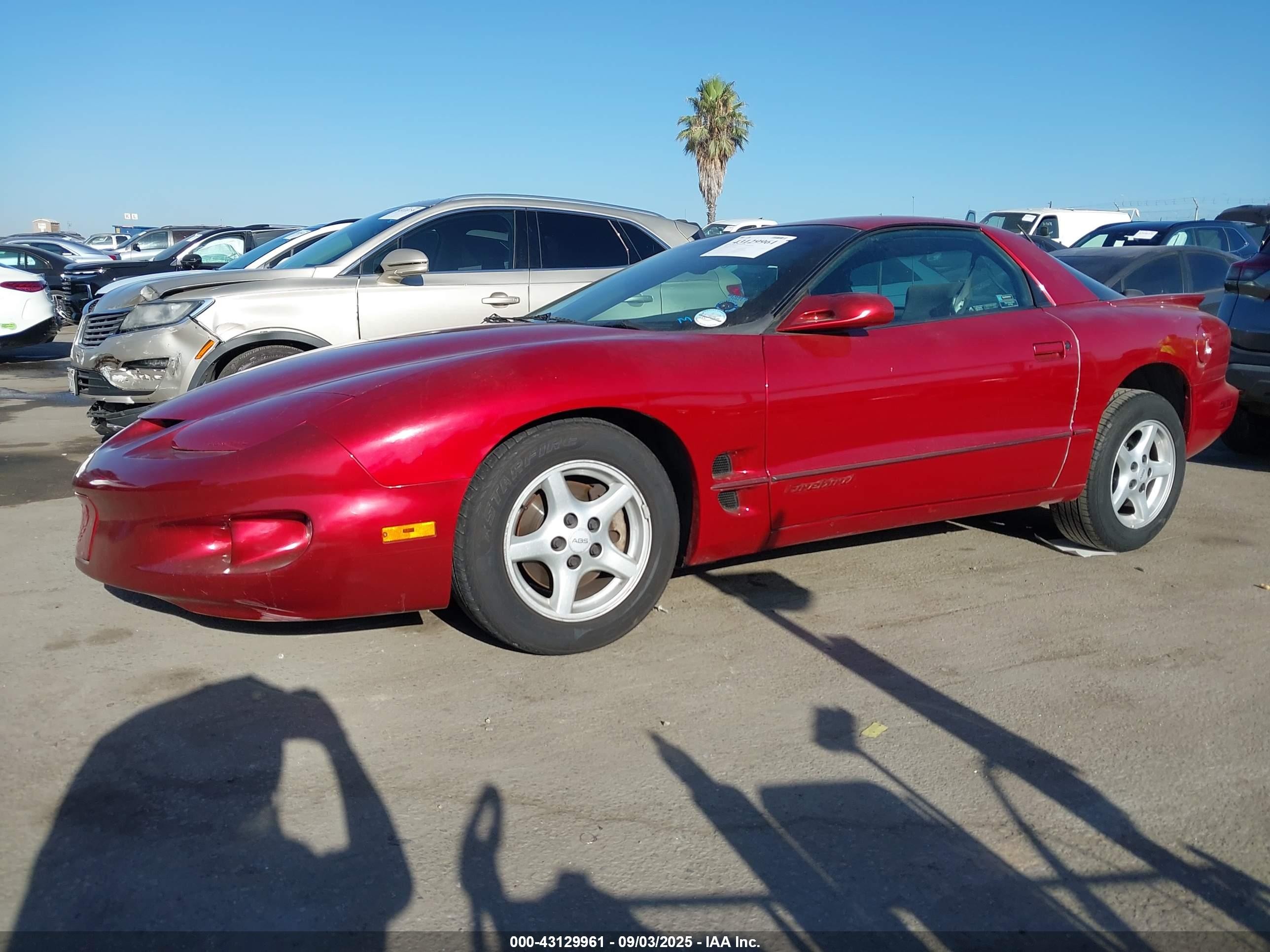 1998 Pontiac Firebird   Red vin: 2G2FS22K5W2219756