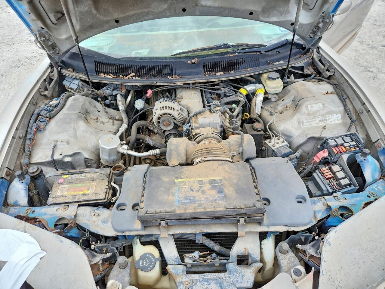 2000 Pontiac Firebird Beige vin: 2G2FS22K5Y2175874