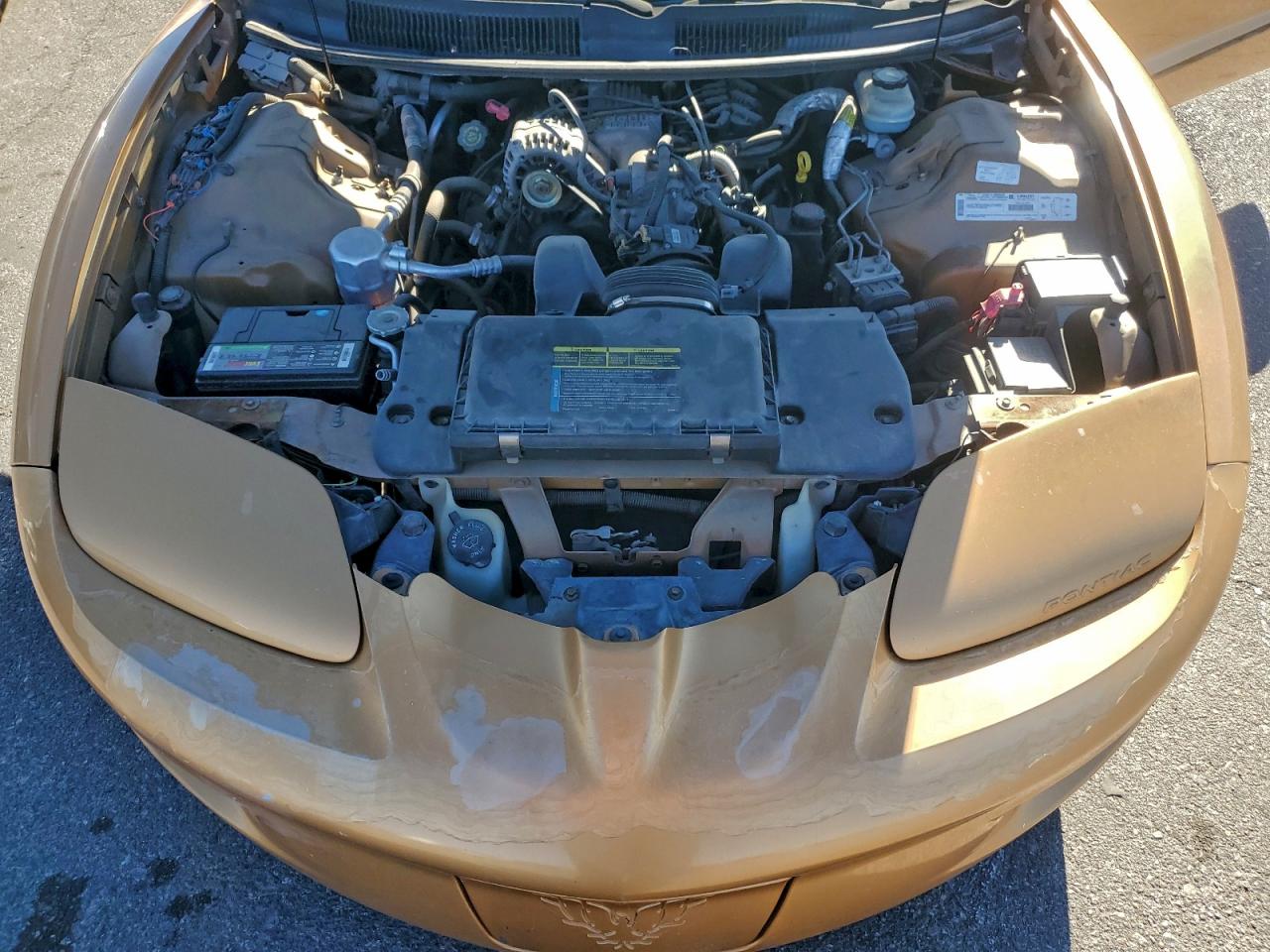 1998 Pontiac Firebird Gold vin: 2G2FS22K8W2206984