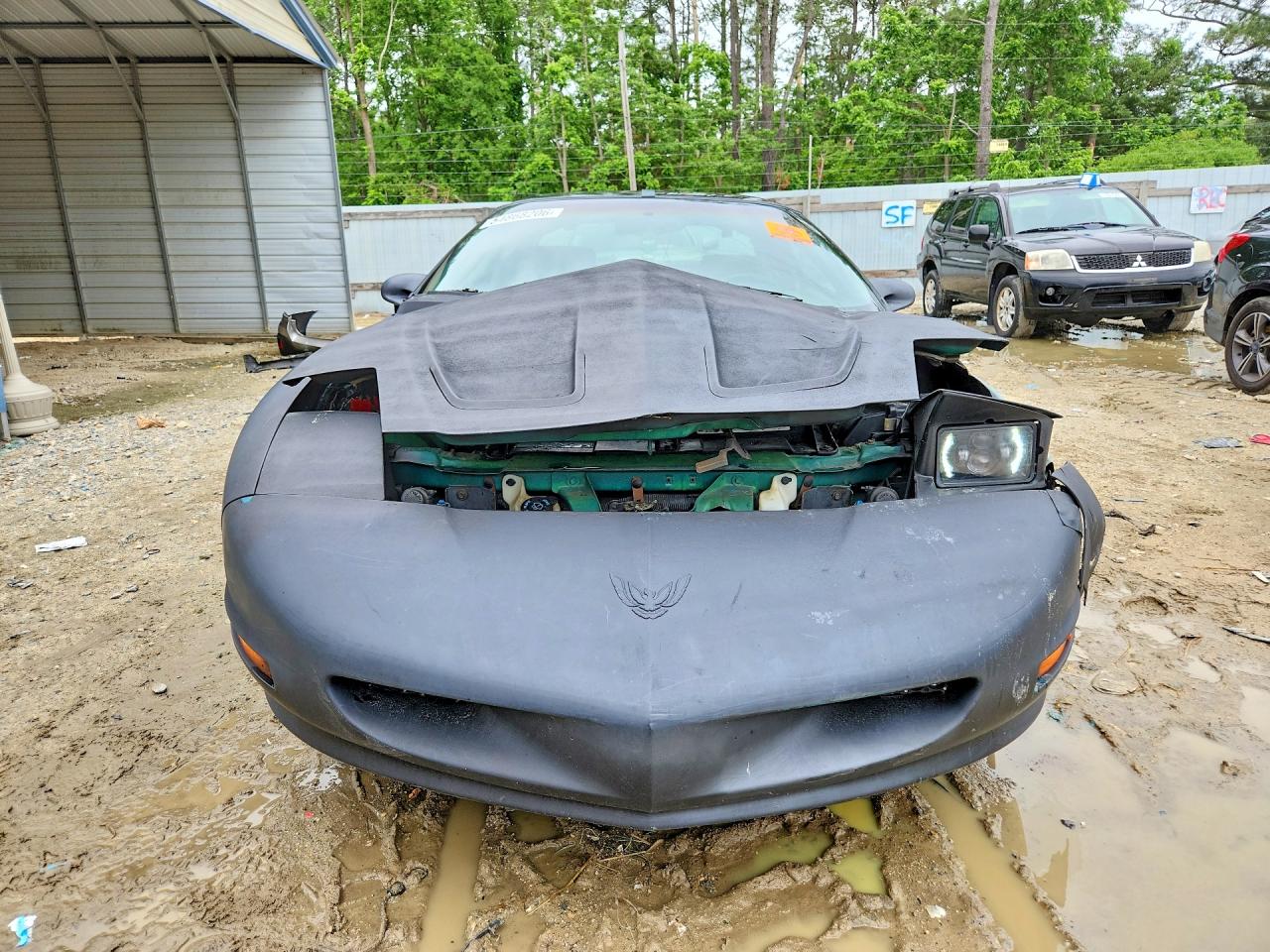 1997 Pontiac Firebird Black vin: 2G2FS22K9V2223274