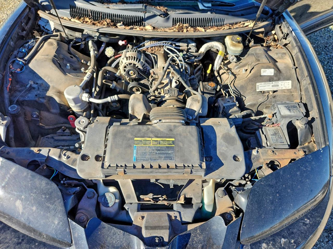 1998 Pontiac Firebird Black vin: 2G2FS22KXW2214147